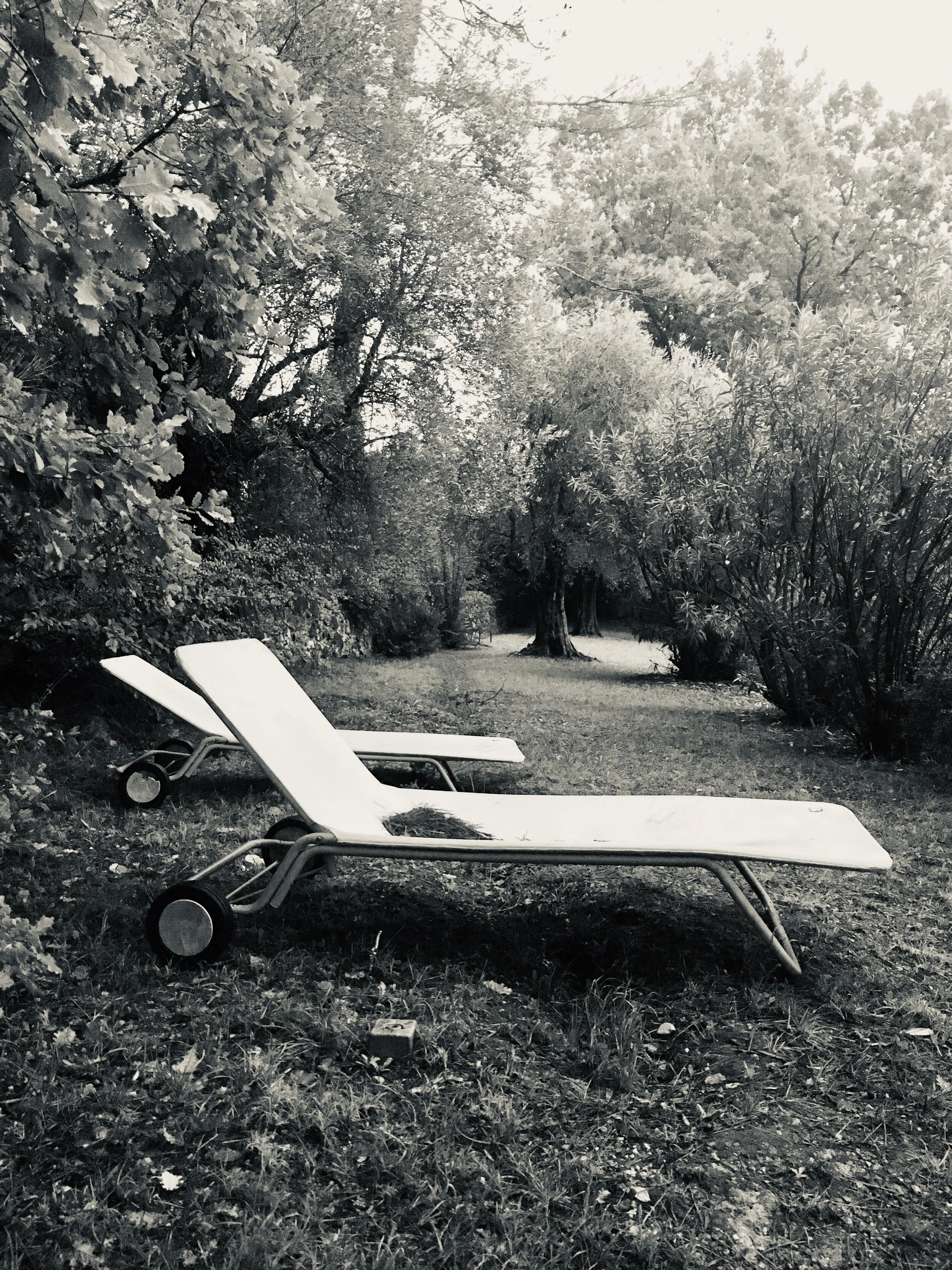 Half Day Creative Strategy | Refine and Organize Message