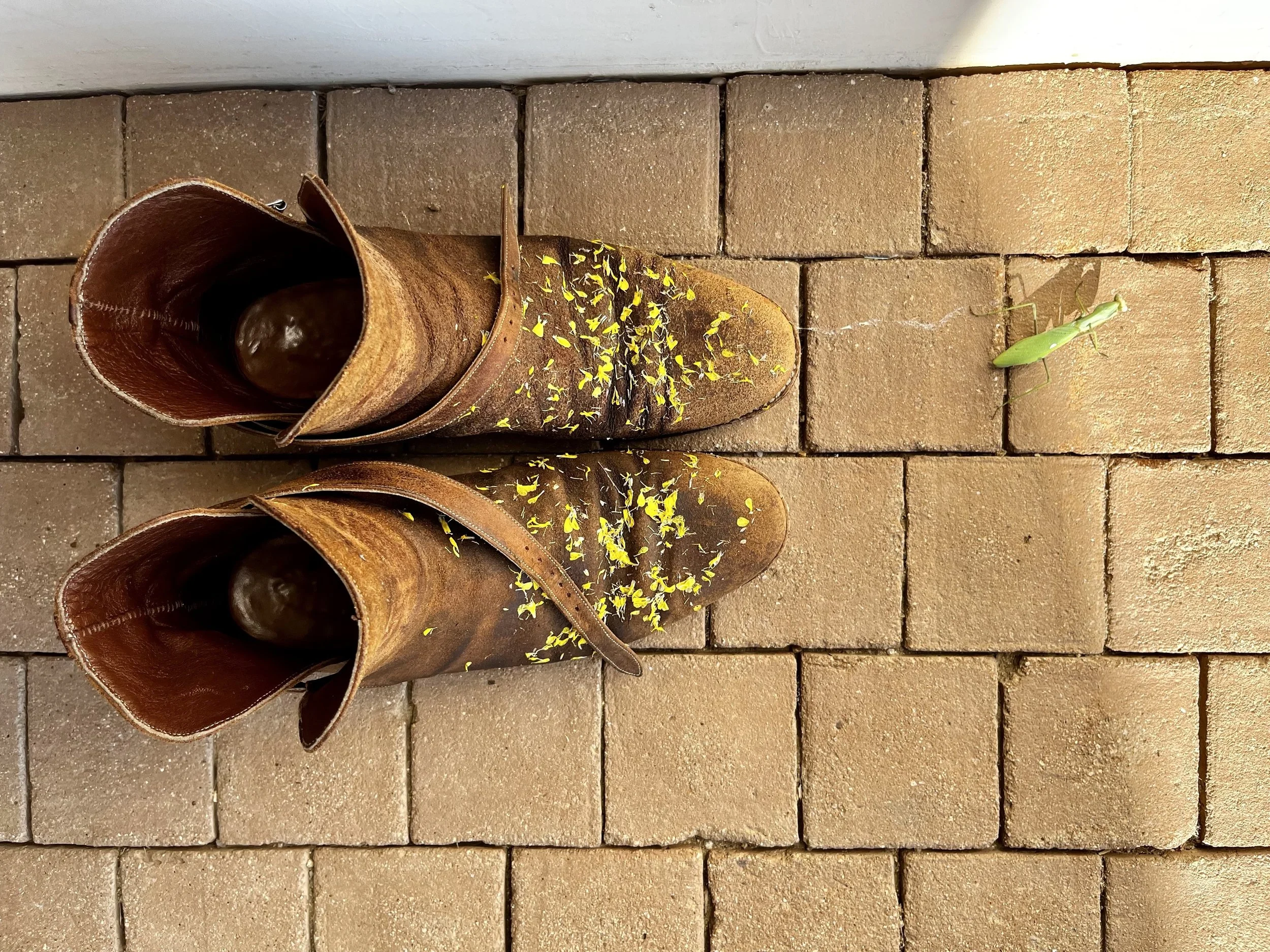 Contrast and why it’s an important even inevitable element for creativity