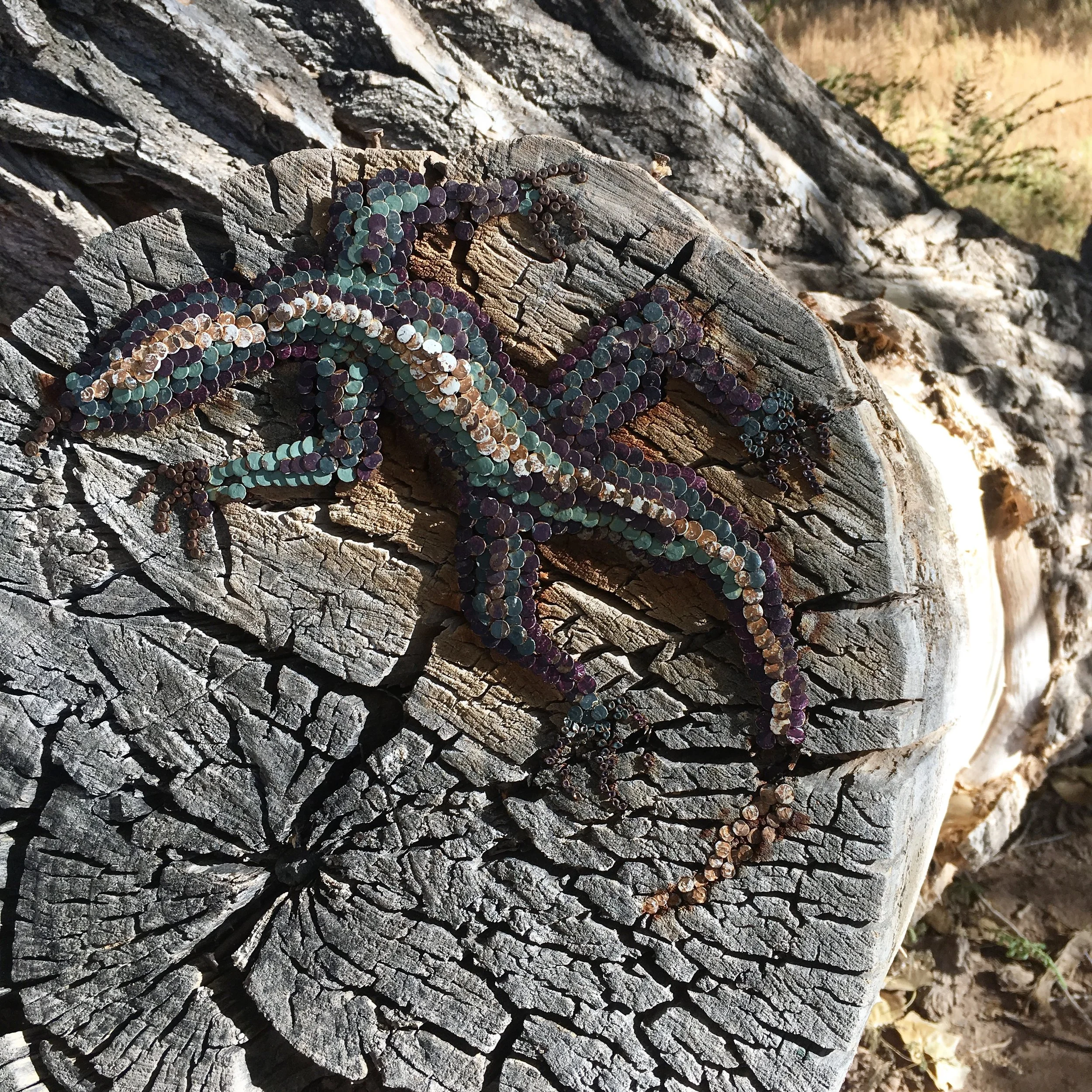 Where is the precious wildness we seek