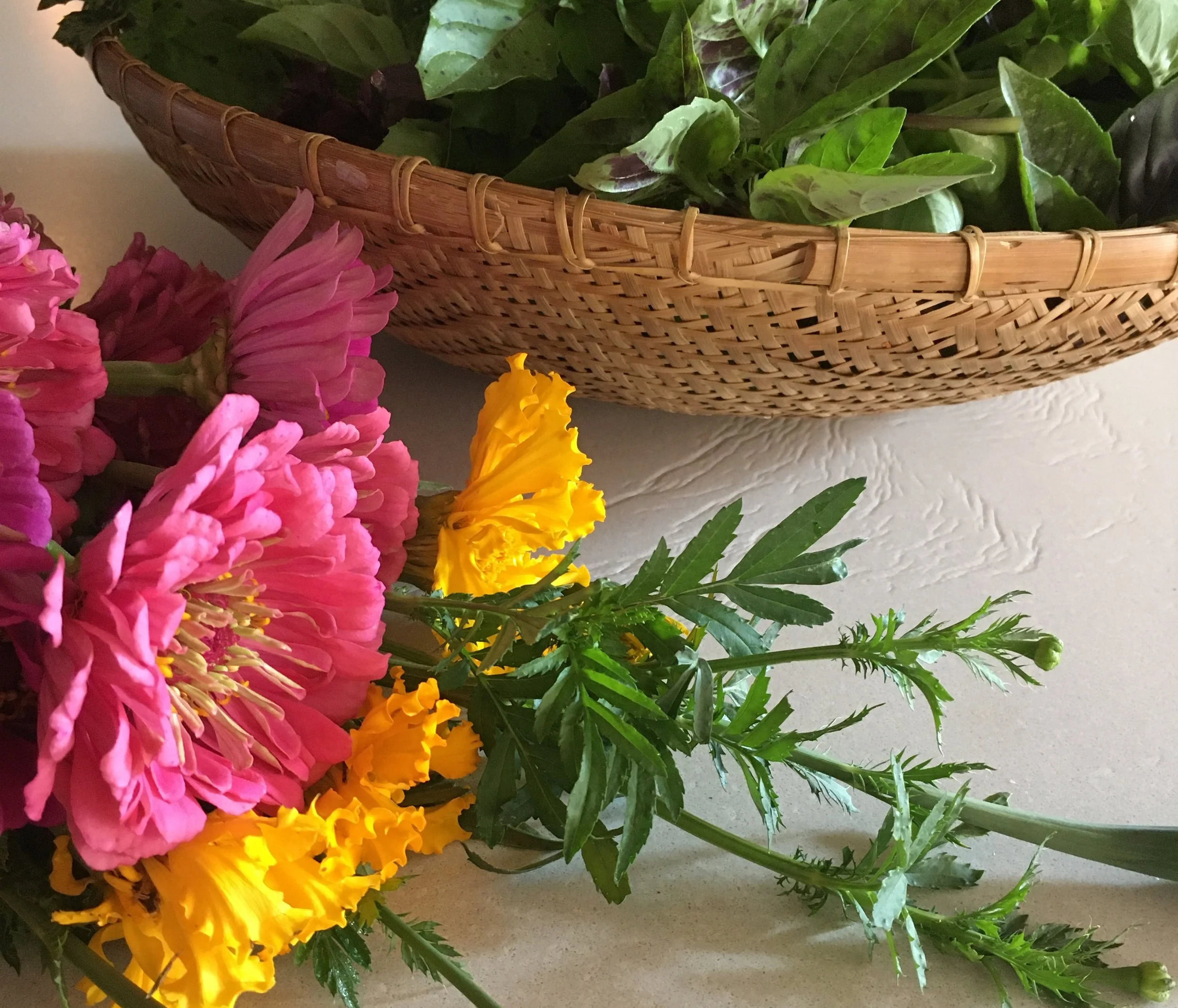 Basket of freshly cut flowers and basil
