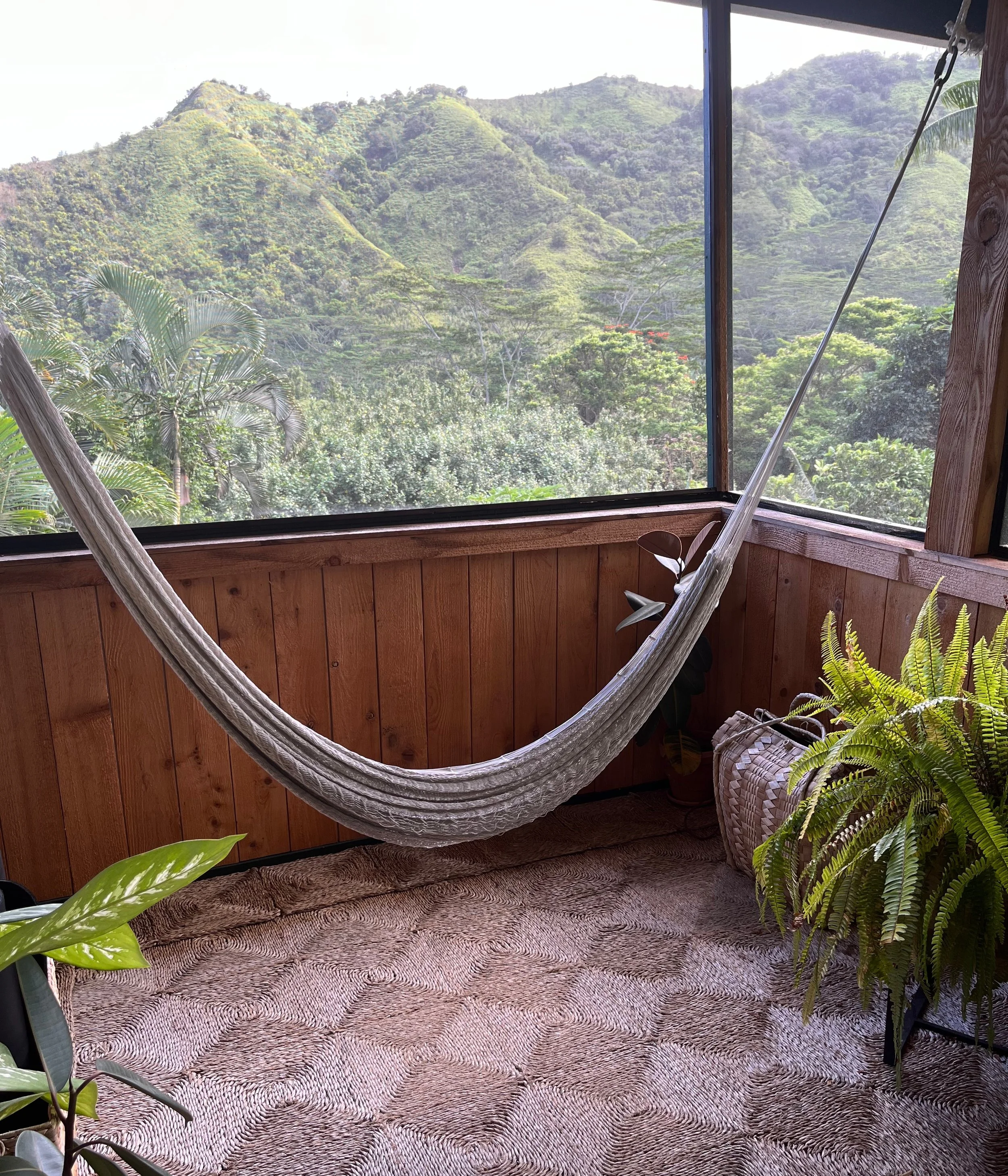 Empty hammock on a screened in porch