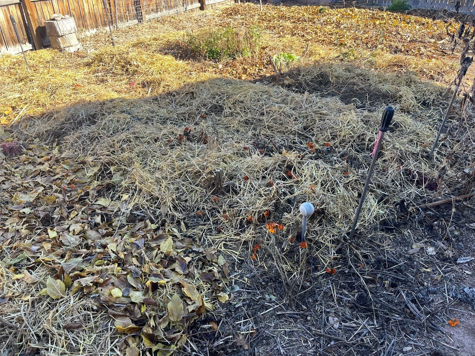 Garden beds with a thick layer of straw and leaves