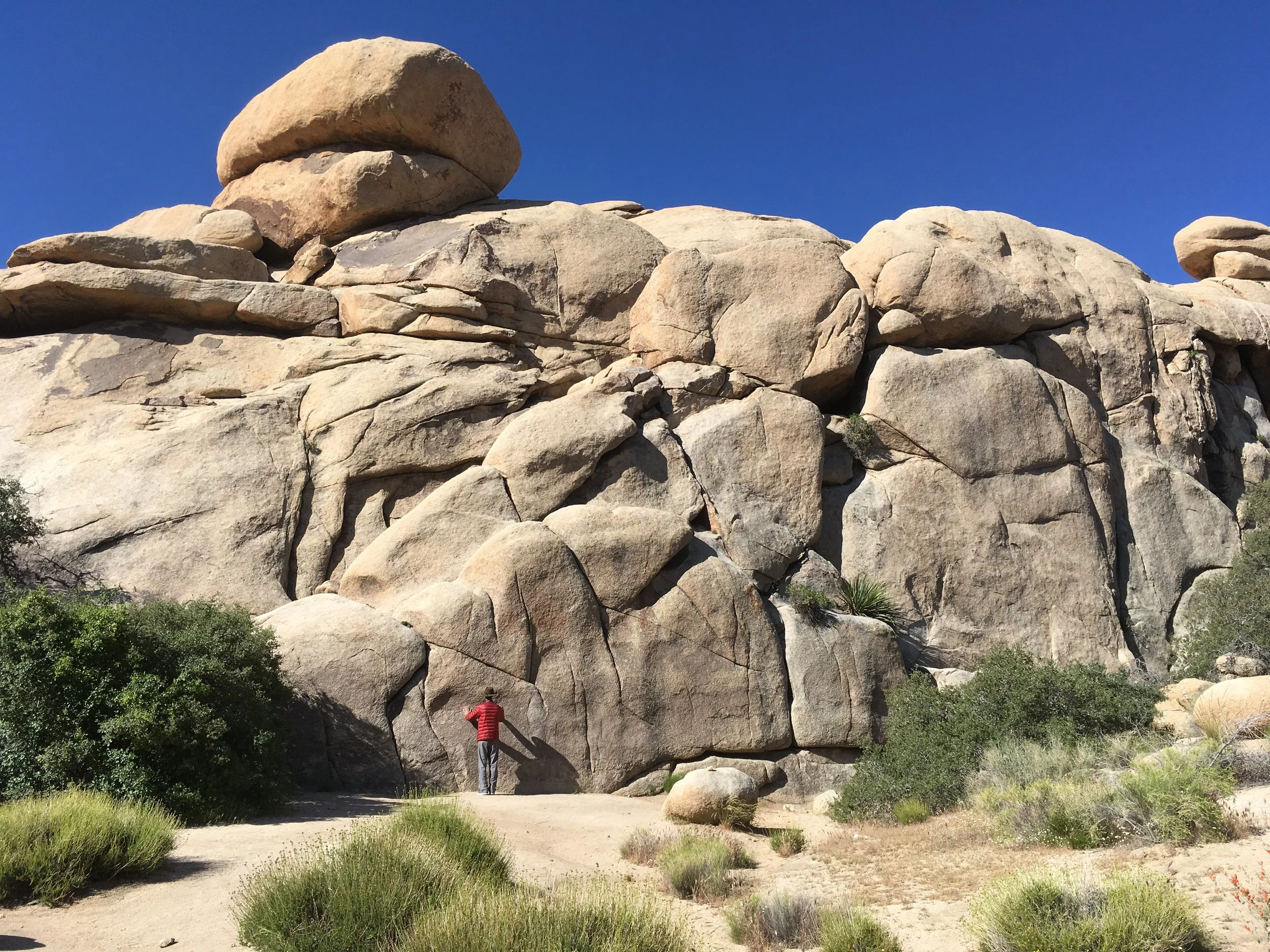 Locating Yourself within the Web of Relationships with Micah Mortali