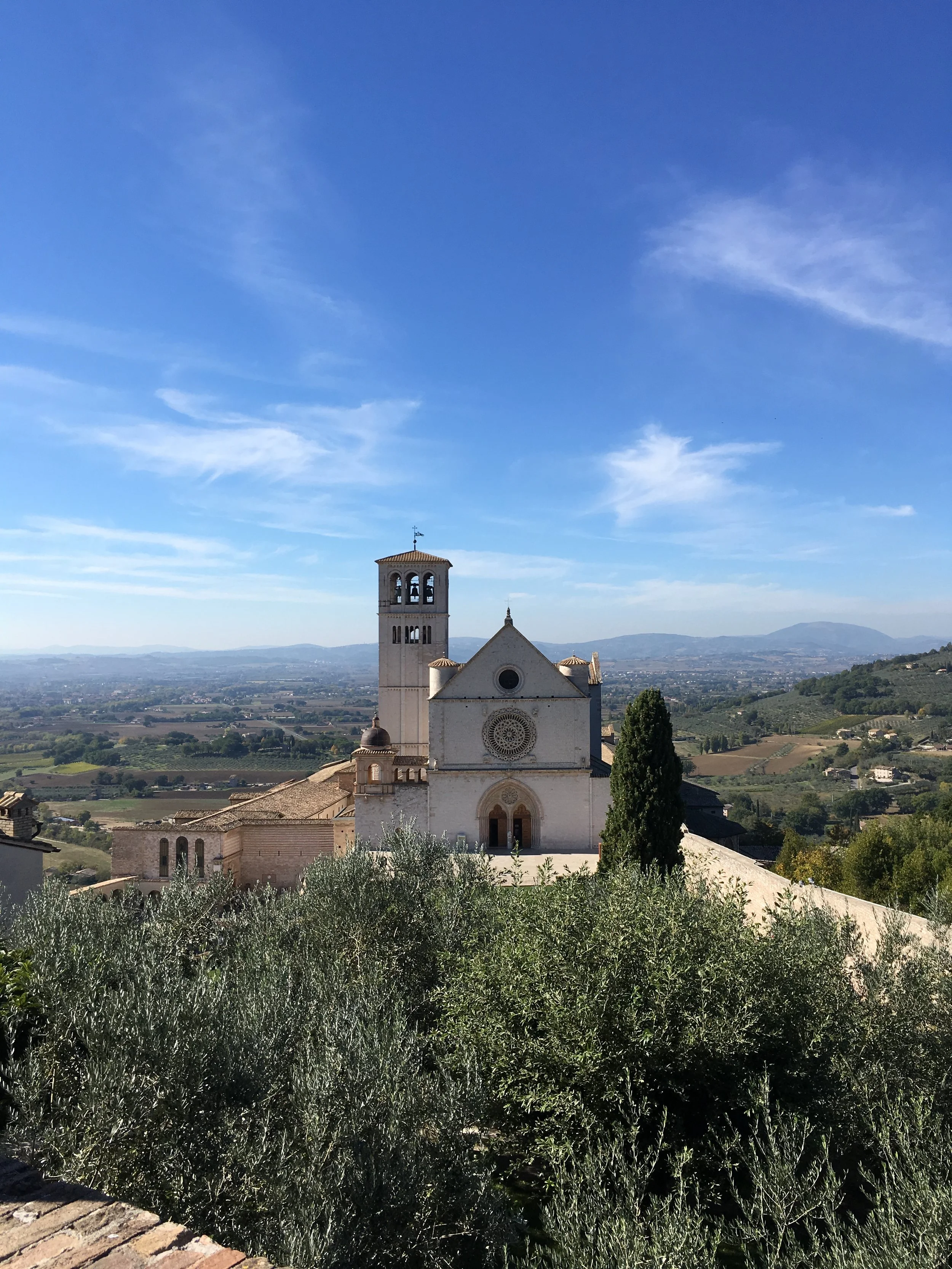 Basilica of St. Francis Assisi