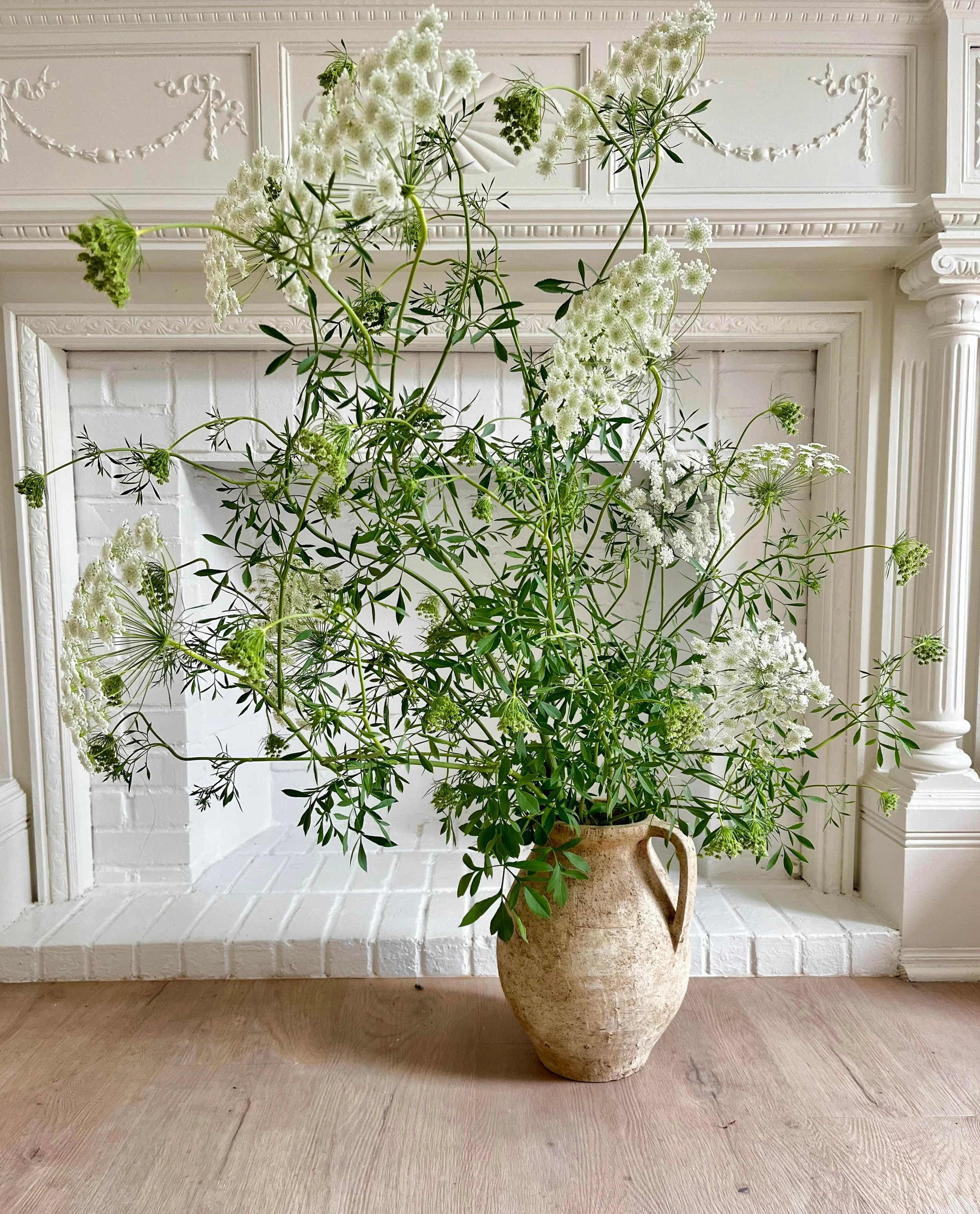 My garden is a monotonous-free zone with Jessica Murnane