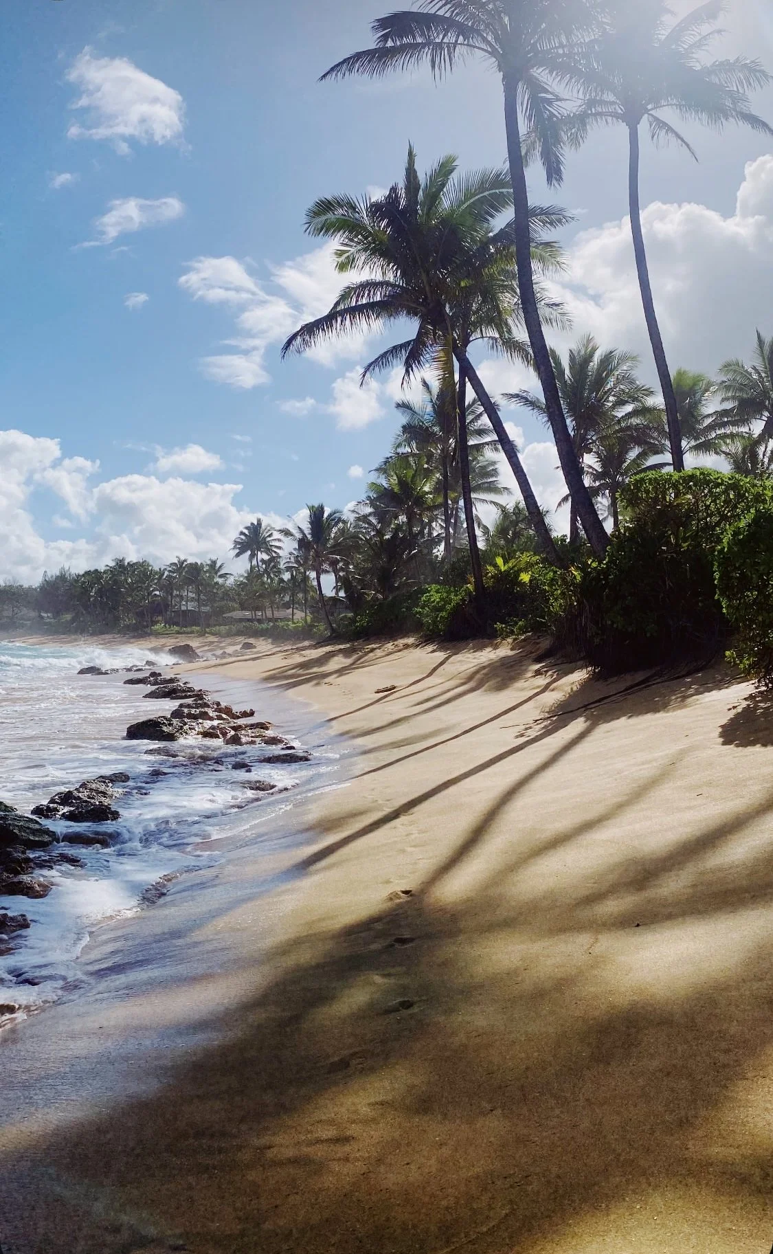 Listening to Vinyl and Shooting a Roll of 10 Frames with Kate Berry