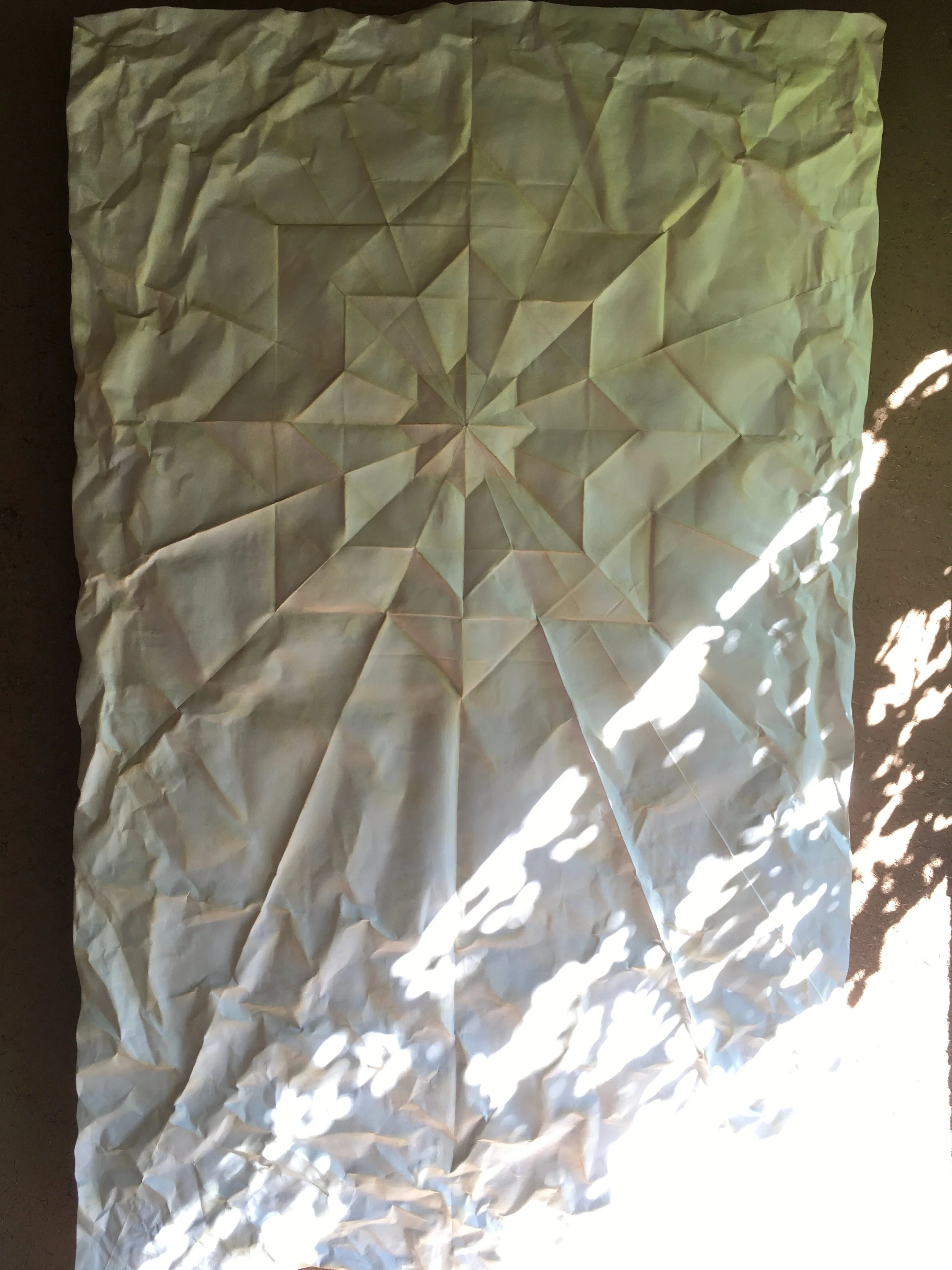 Seed sovereignty—the heat is rising