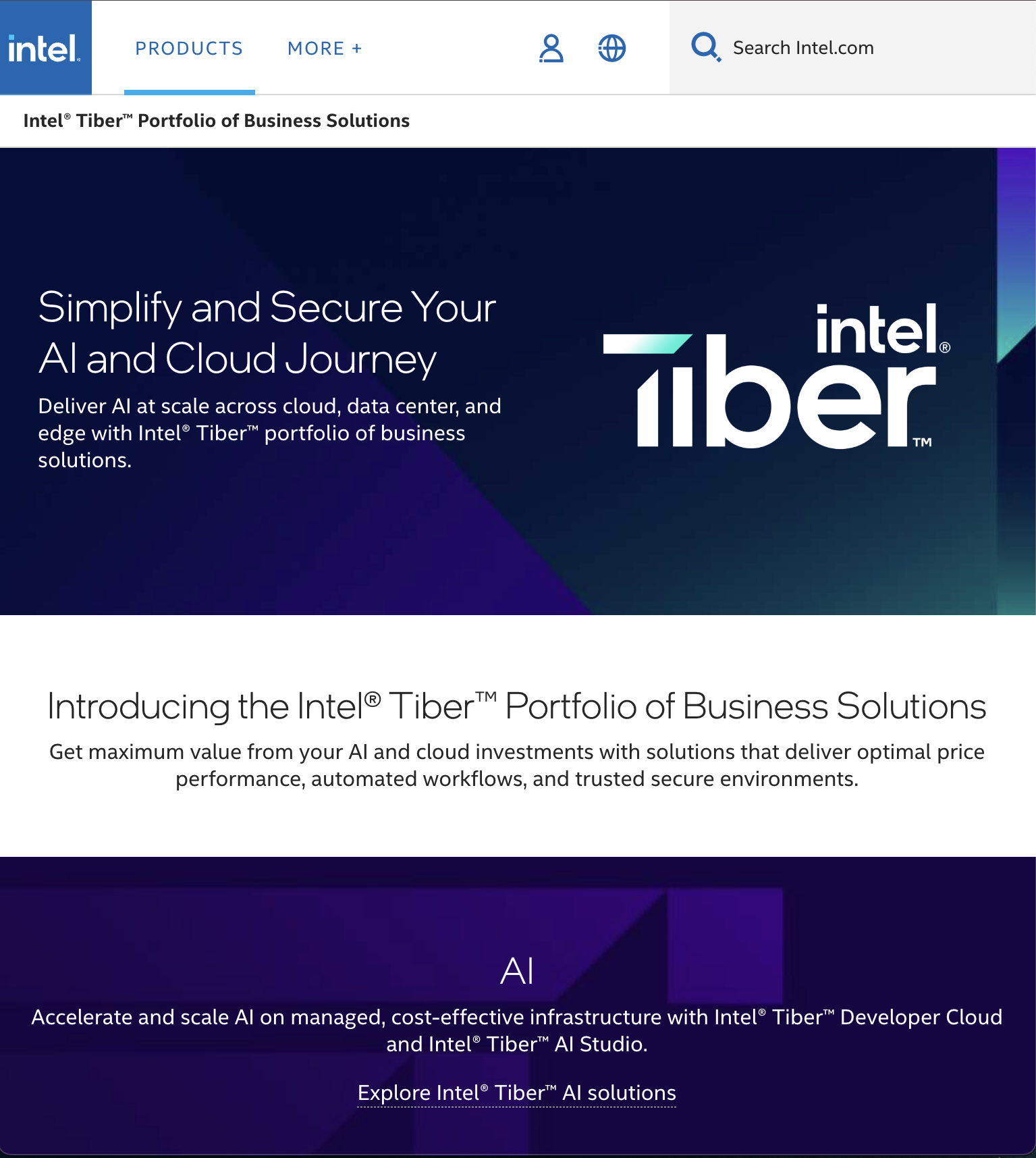 Intel Tiber Webpage.png