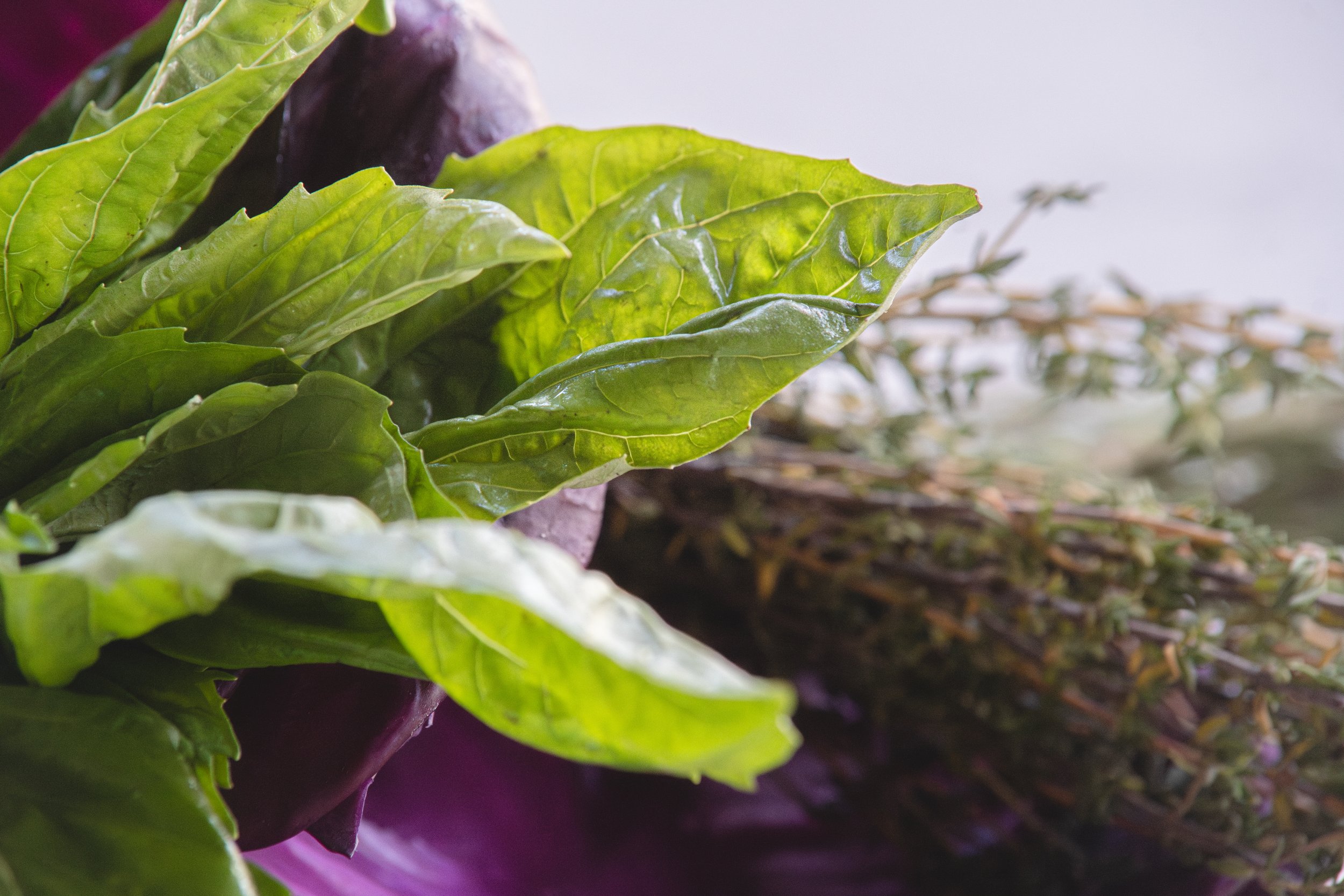 Farmers market ingredients