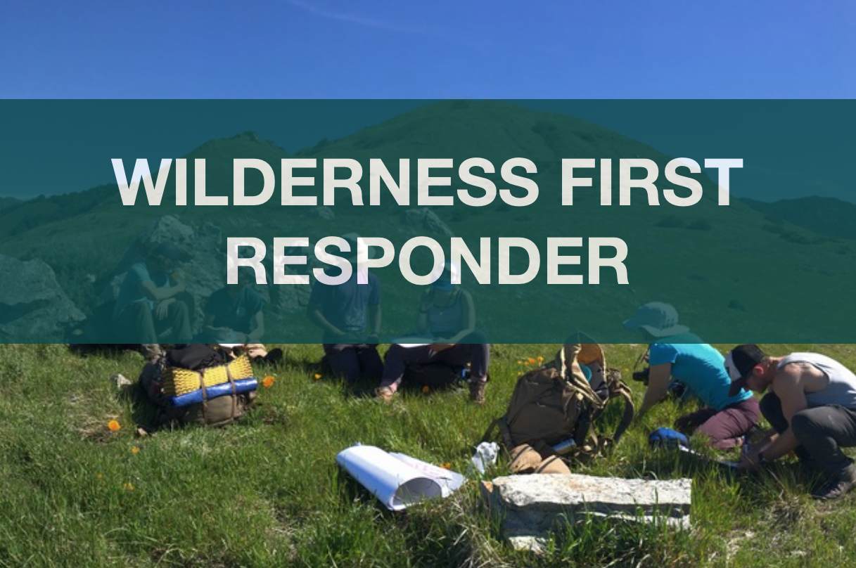 Wilderness Medical Trainings for All Experience Levels — BMG