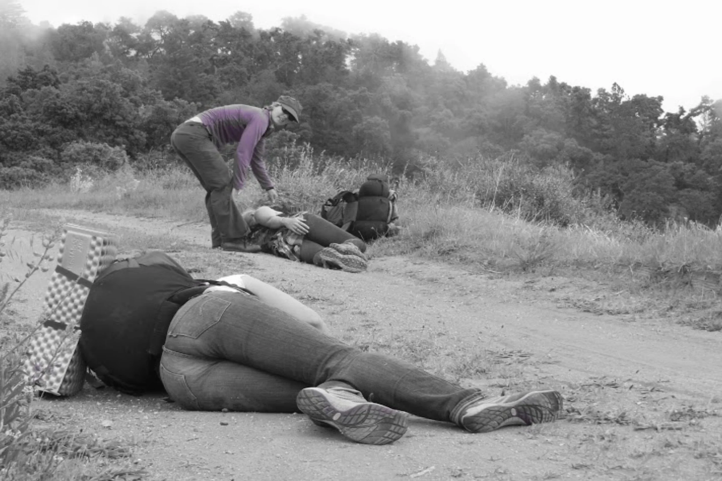 Backcountry Medical Guides Training Testimonials — BMG