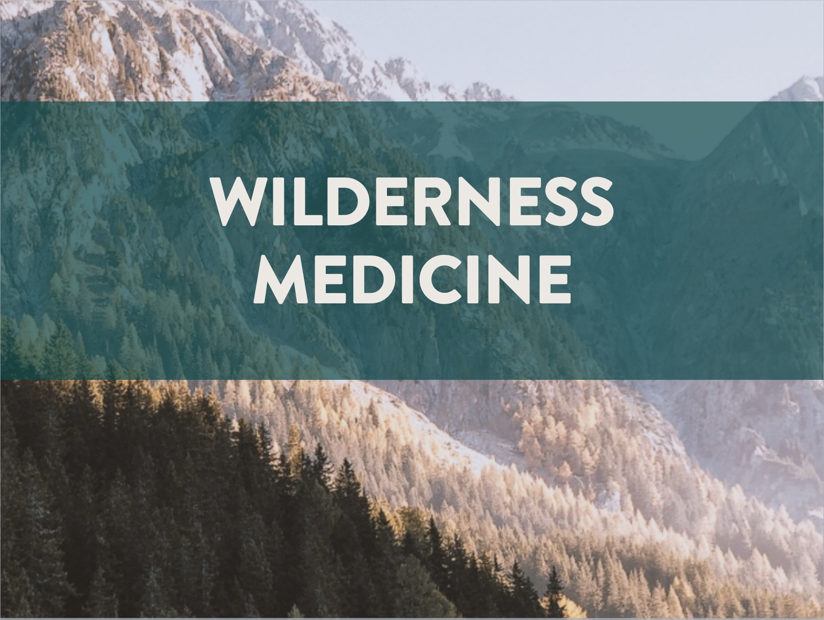 Backcountry Medical Guides
