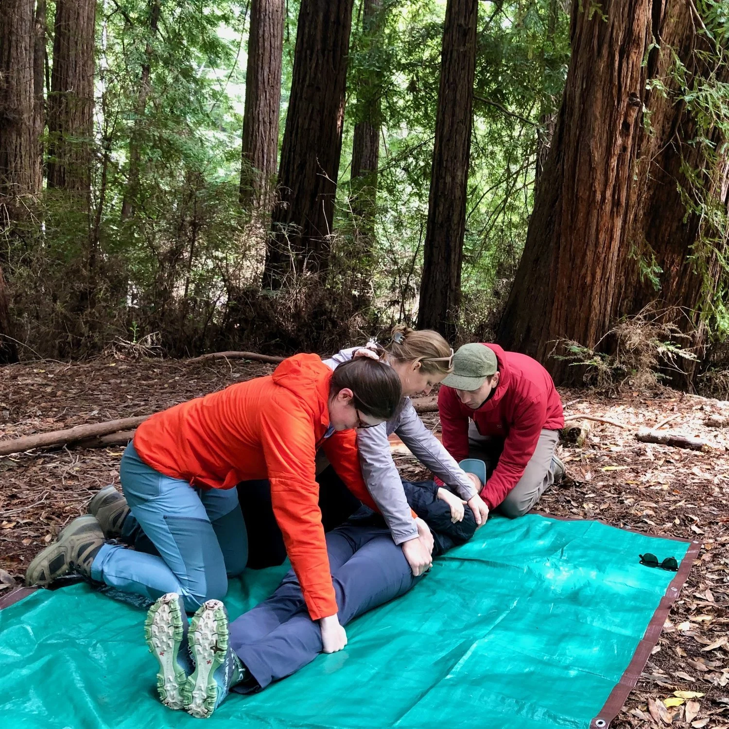Bellingham, WA | Wilderness First Responder-Refresher (WFR-R Only)
