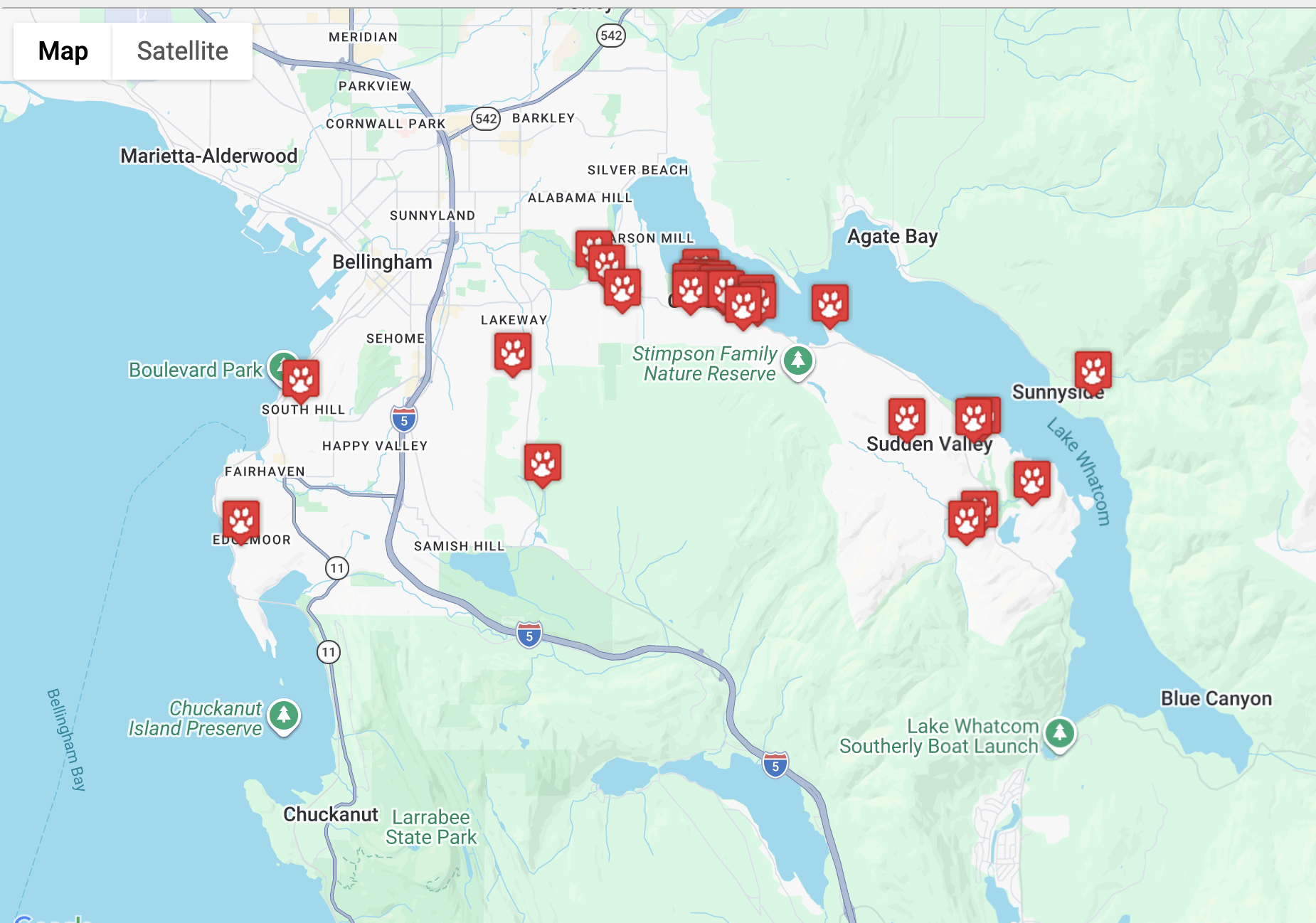 Cougars in the PNW: What’s Happening, What Works, and What Doesn’t