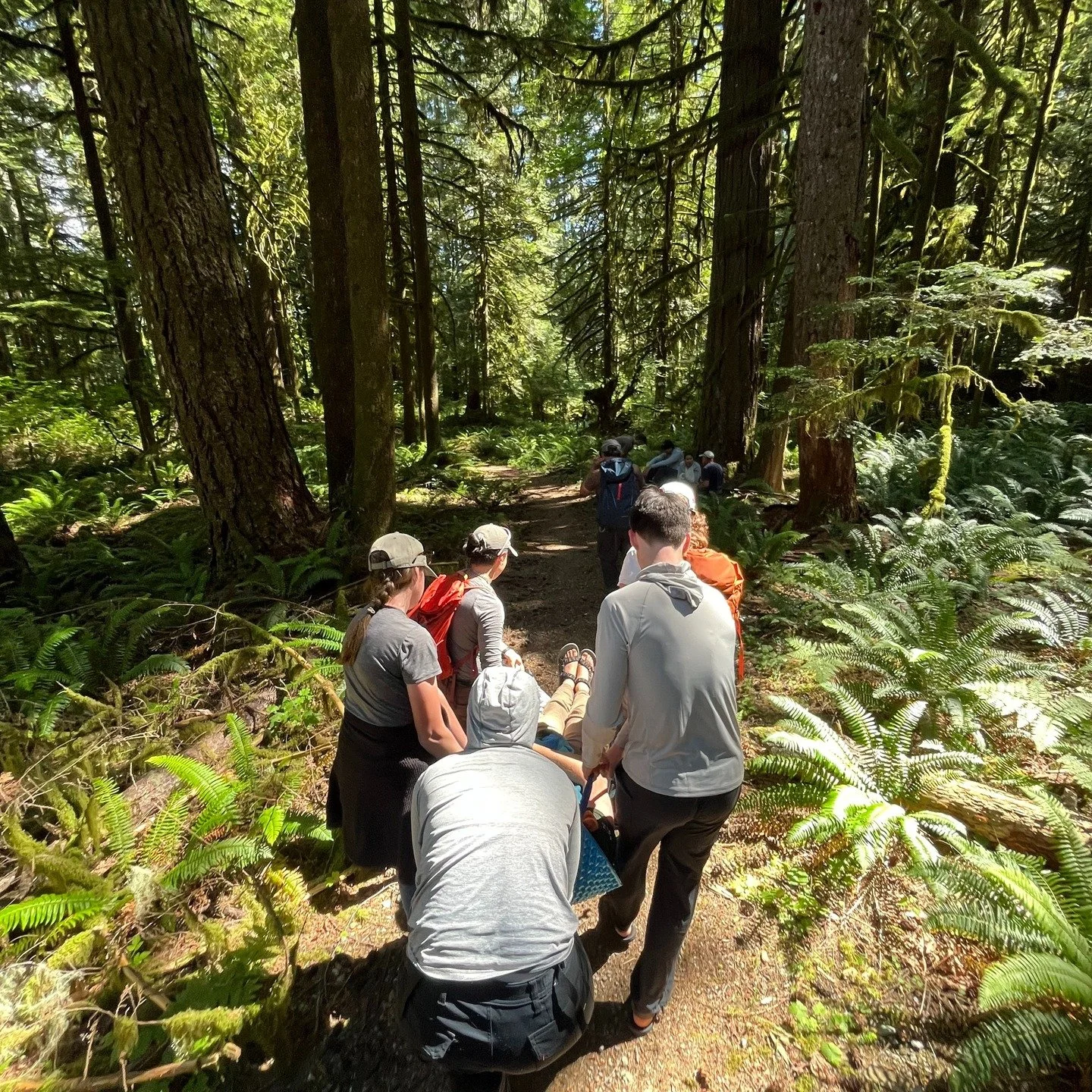 Last week, a handful of North Cascades National Park staff spent two days in the woods outside of Newhalem learning wilderness medicine the way it sticks. Scenario-based, hands-on, and built for the terrain they work in every day.
Arm slings. Litter 
