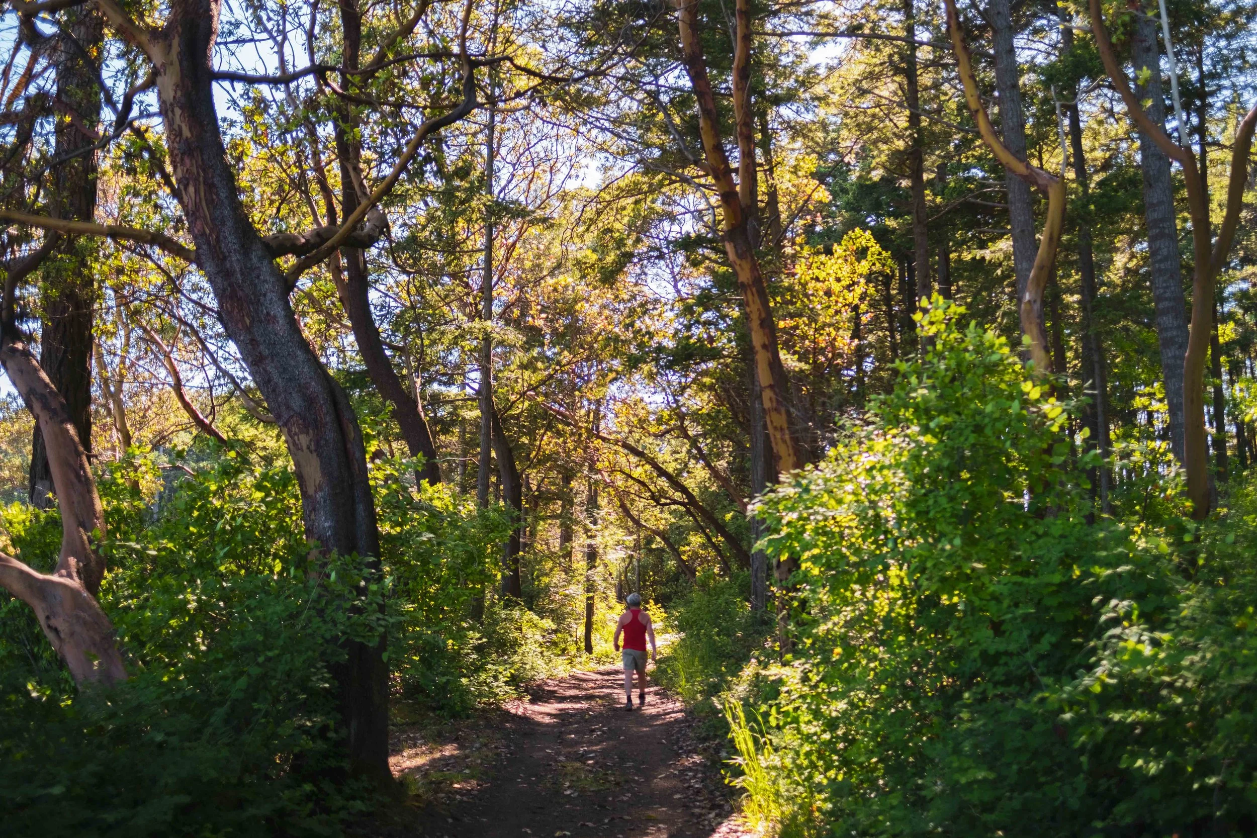 Heat Illness in the Backcountry