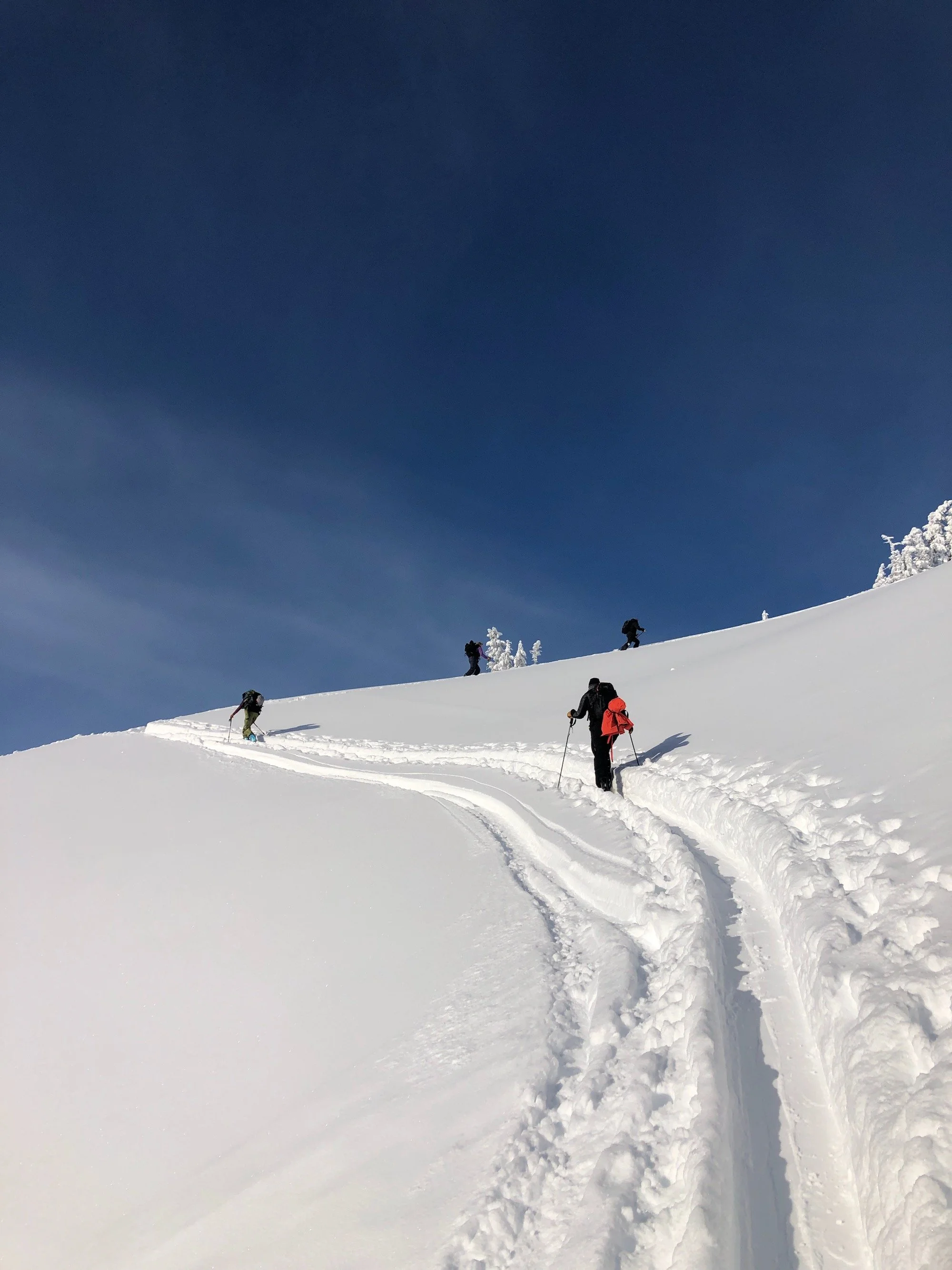 Mountain Medicine: Avalanche, Snow Immersion, Cold Injury, and Altitude