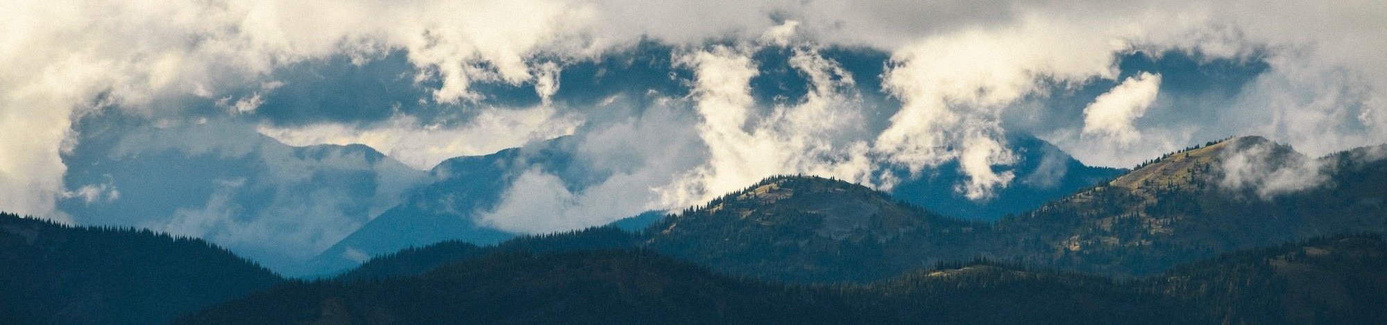 Wilderness Medicine Whatcom County