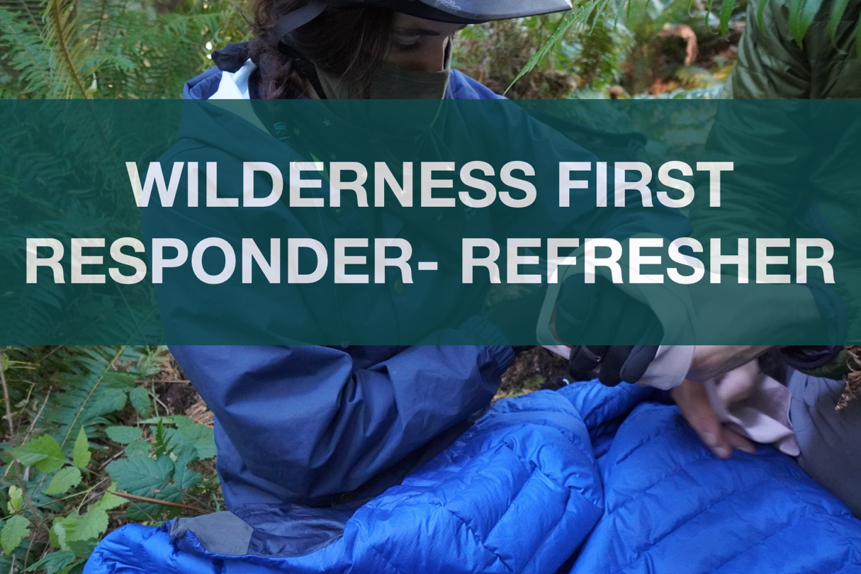 Wilderness Medical Trainings for All Experience Levels — BMG