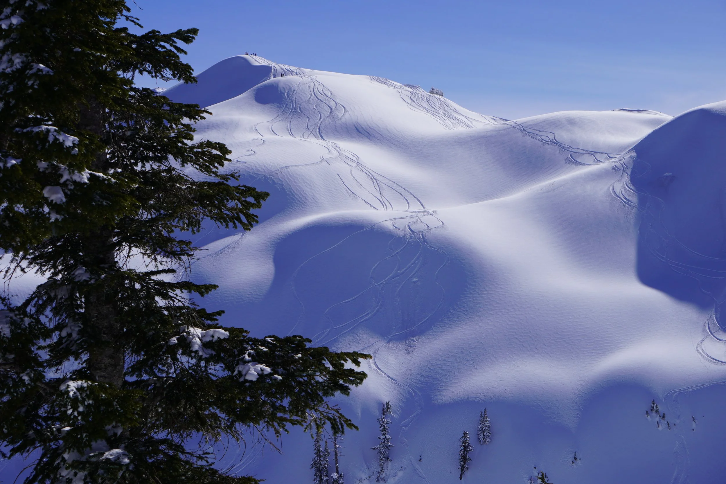Adventure Rx: Mountain Medicine