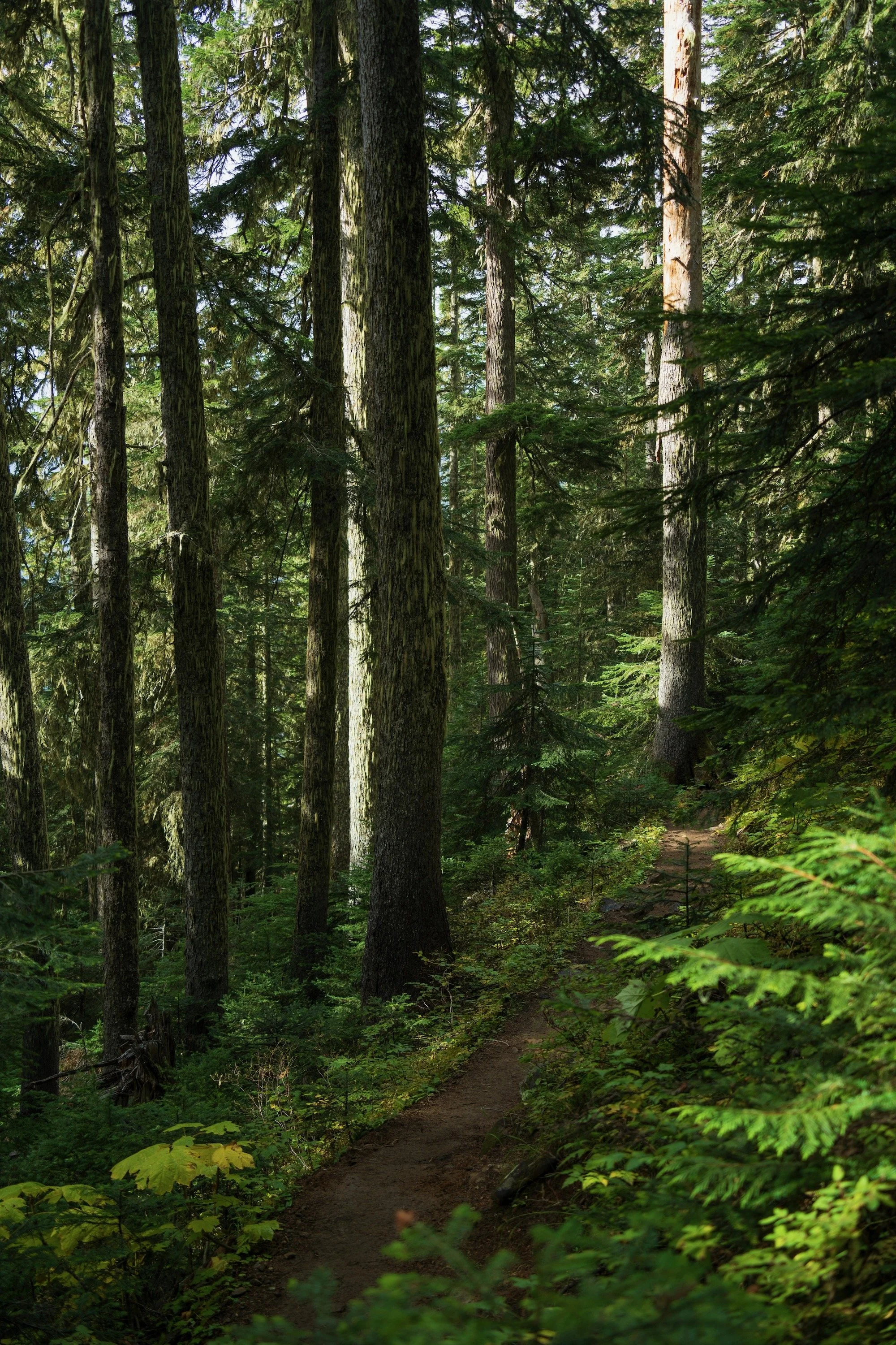 Bellingham, WA | WFR