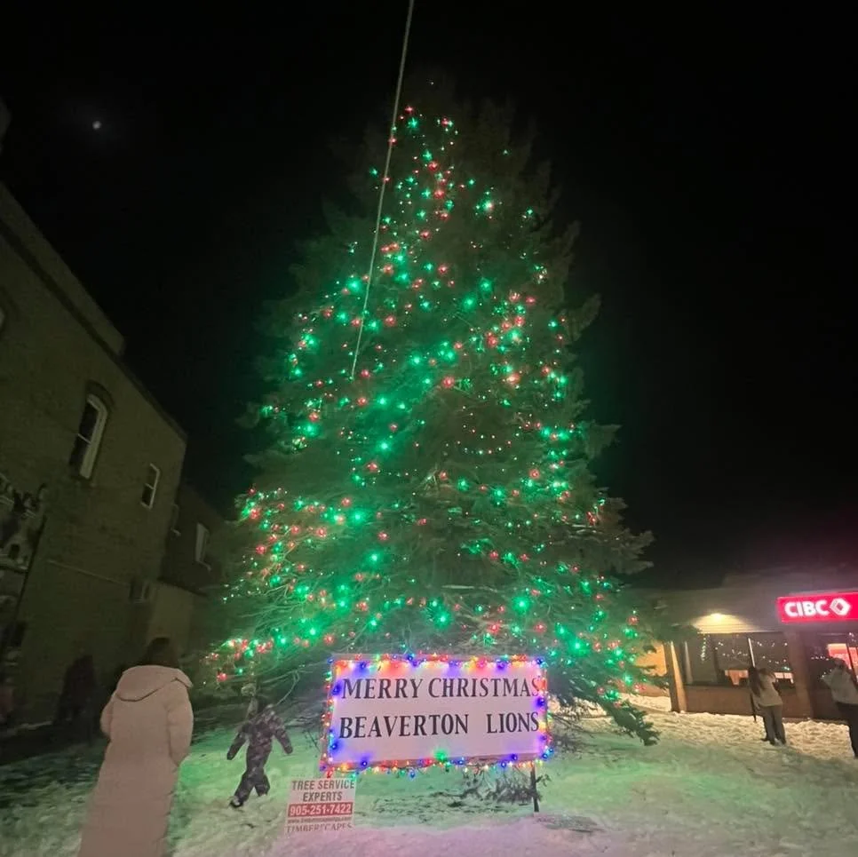 Lighting up the CIBC Tree for Christmas has been a longtime vision that finally came to a reality this year!🎄

A special thank you to the Beaverton CIBC for their generous donation towards Christmas lights and for trusting us with their beautiful tr