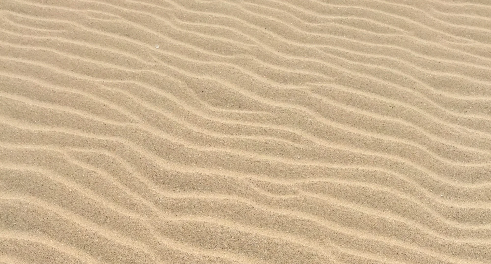 A Ledger in the Sand