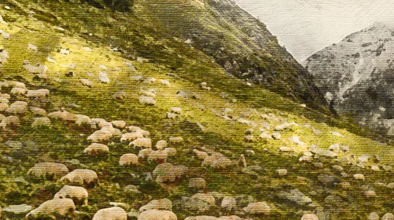 TTEOAS_cvr_16x9 ratio 300dpi hillside only.jpg