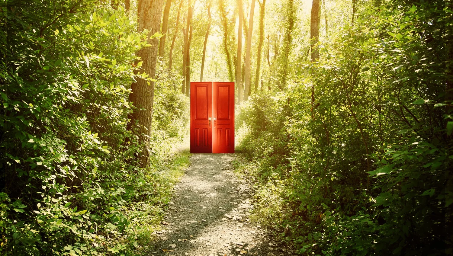 Is the Door Open or Closed? episode artwork