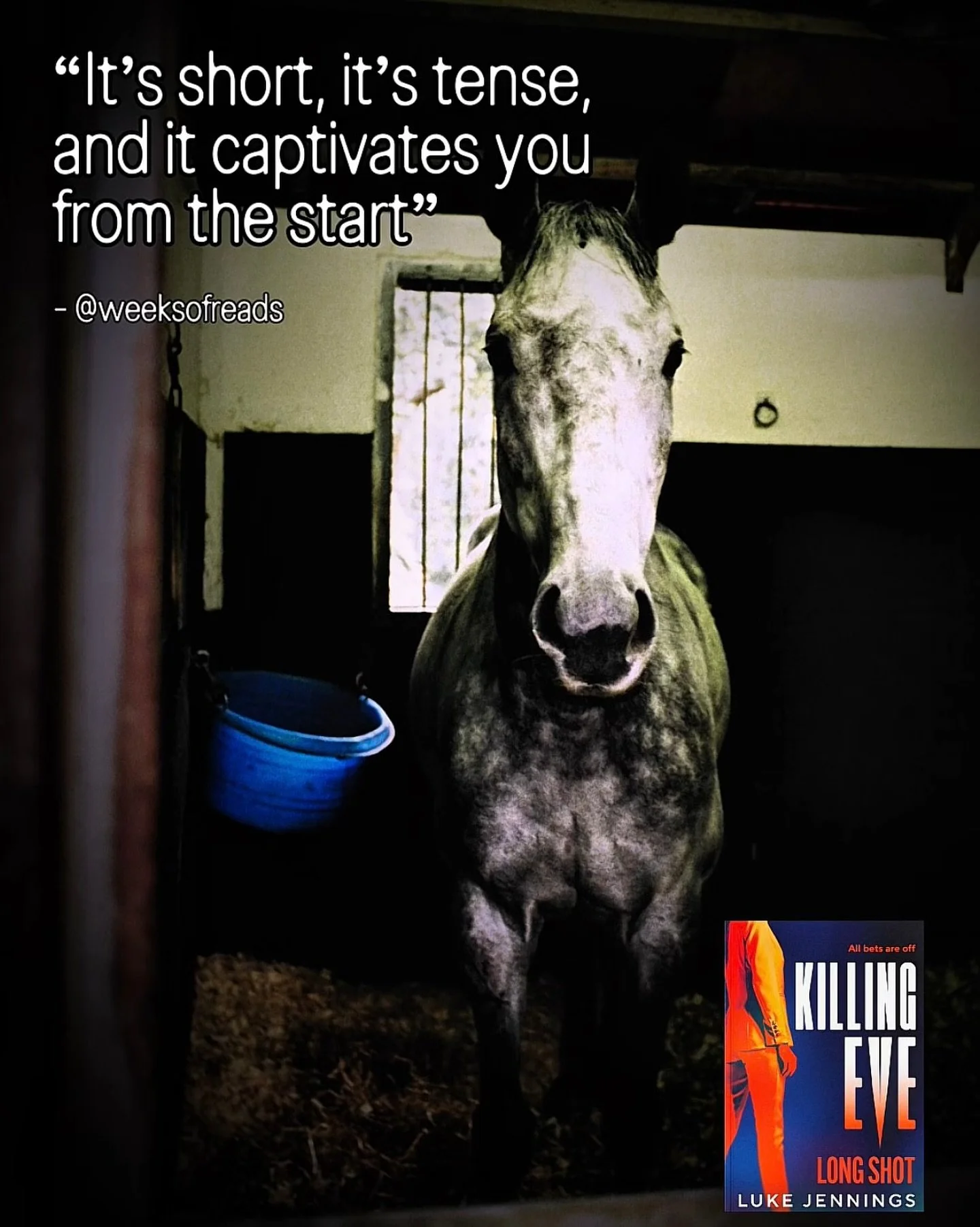 Villanelle and Eve are back.
Killing Eve: Long Shot out November 1st.

#thrillerauthor #crimefiction #horseracing