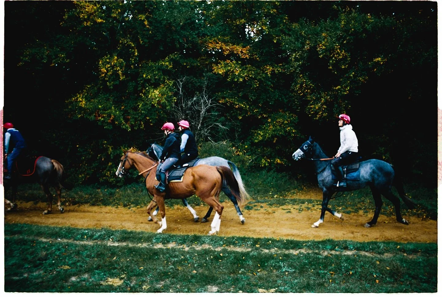 Who&rsquo;s enjoying Killing Eve: Long Shot so far?
Here&rsquo;s another shot from a chilly morning in Newmarket, the home of British horse racing. The whole town is built around the industry. The horse on the right is wearing a mask that covers its 