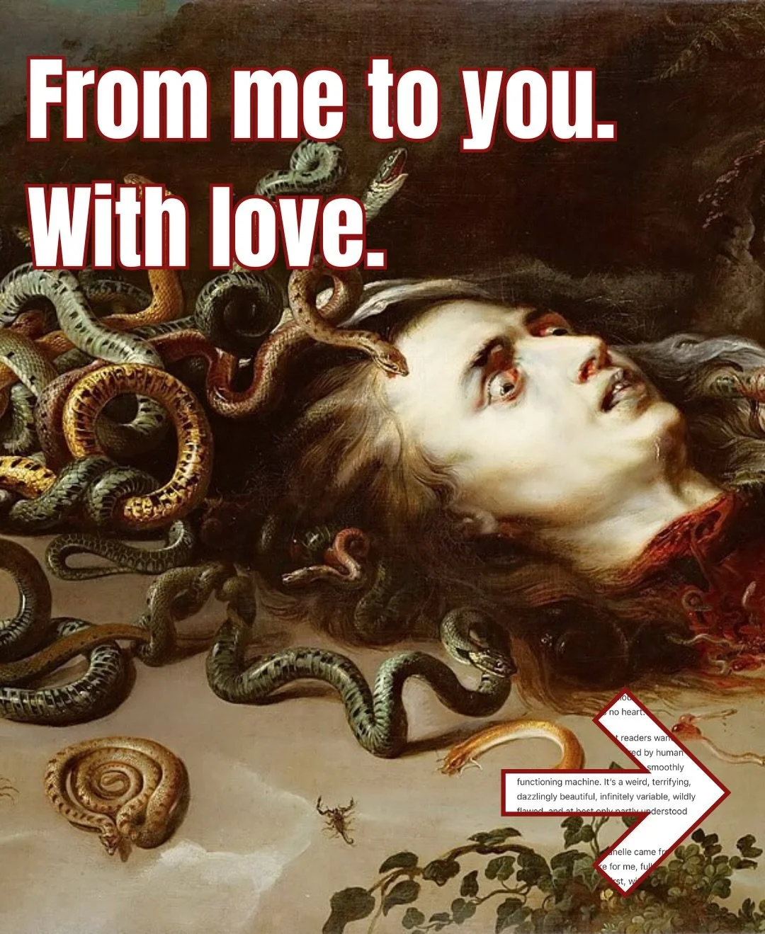 Some thoughts on Villanelle and human imagination. Read about the creation of Killing Eve and more my substack.

Killing Eve: Medusa is out on Monday. Pre-order at the link in my bio.

#bookstagram #author