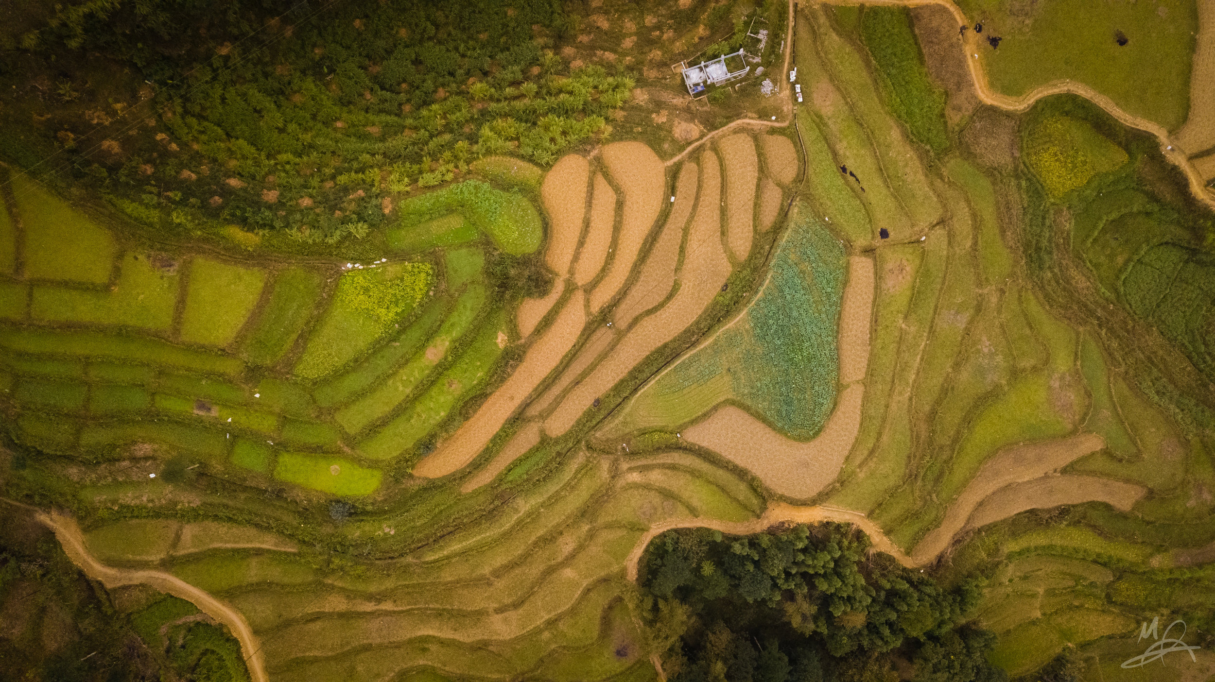 Rice paddies of Ha Giang