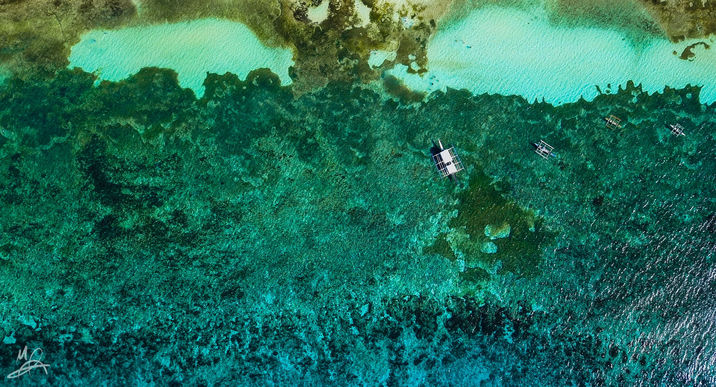 Eyes in the shallows