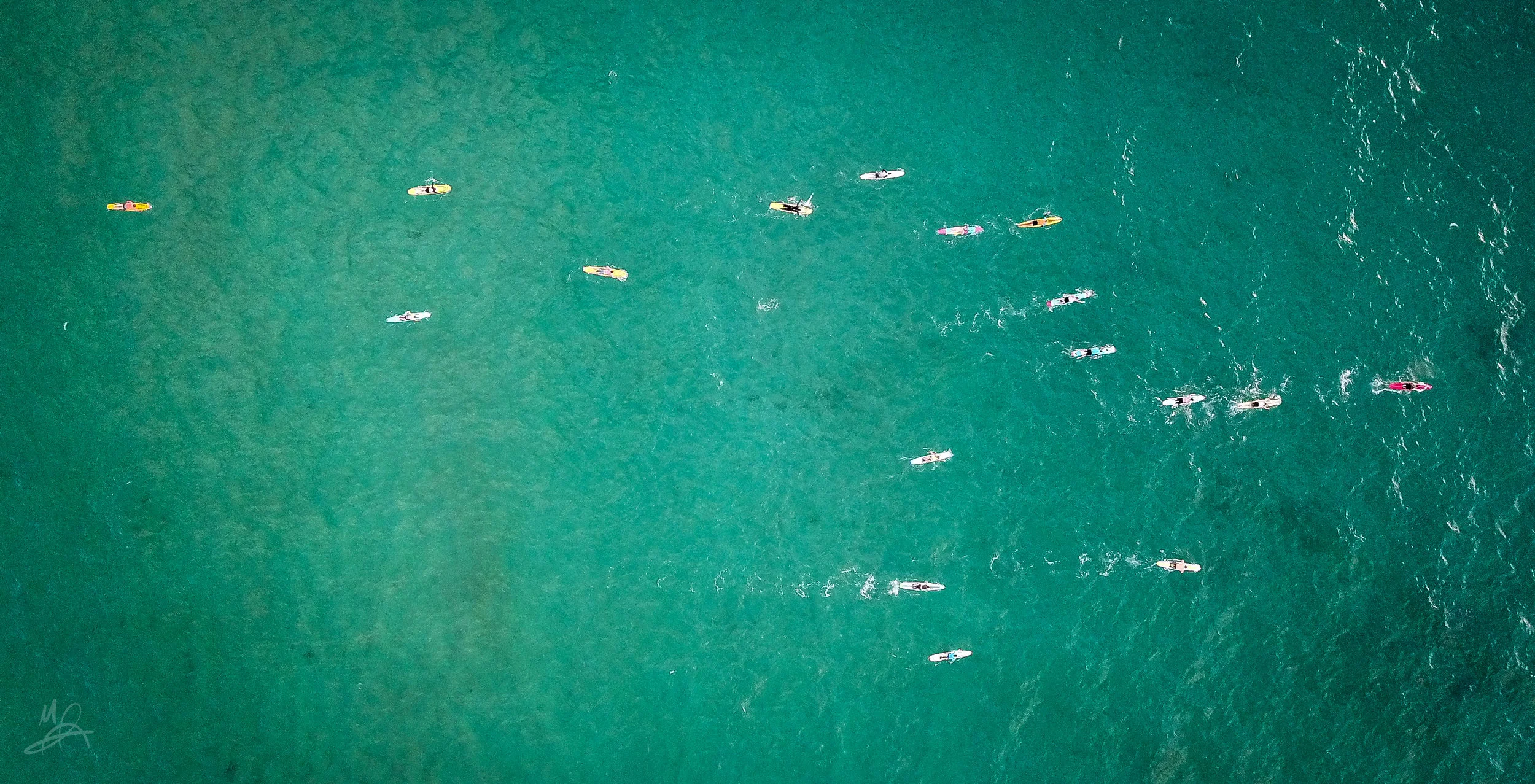 Bondi surfers