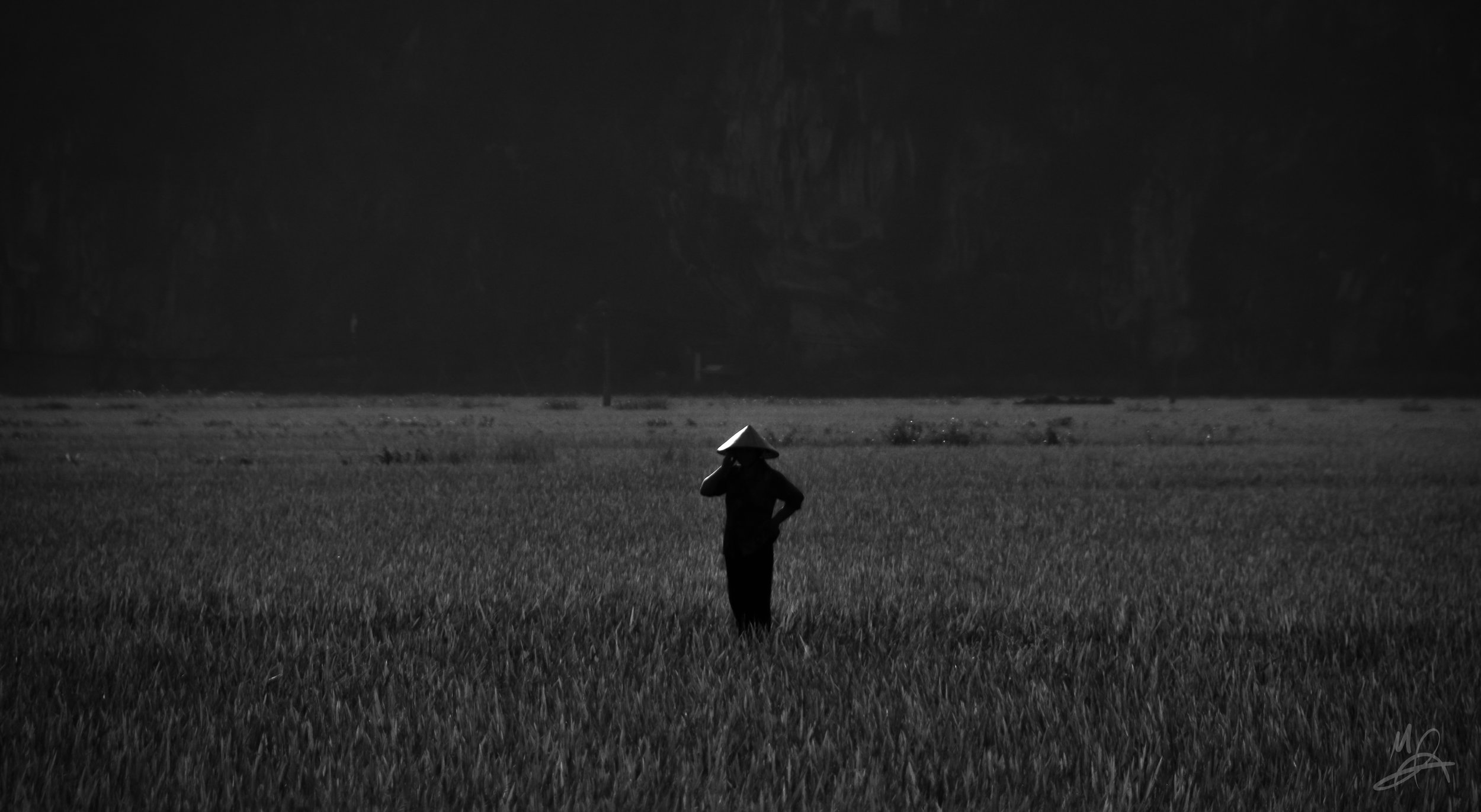 Farmer on the phone