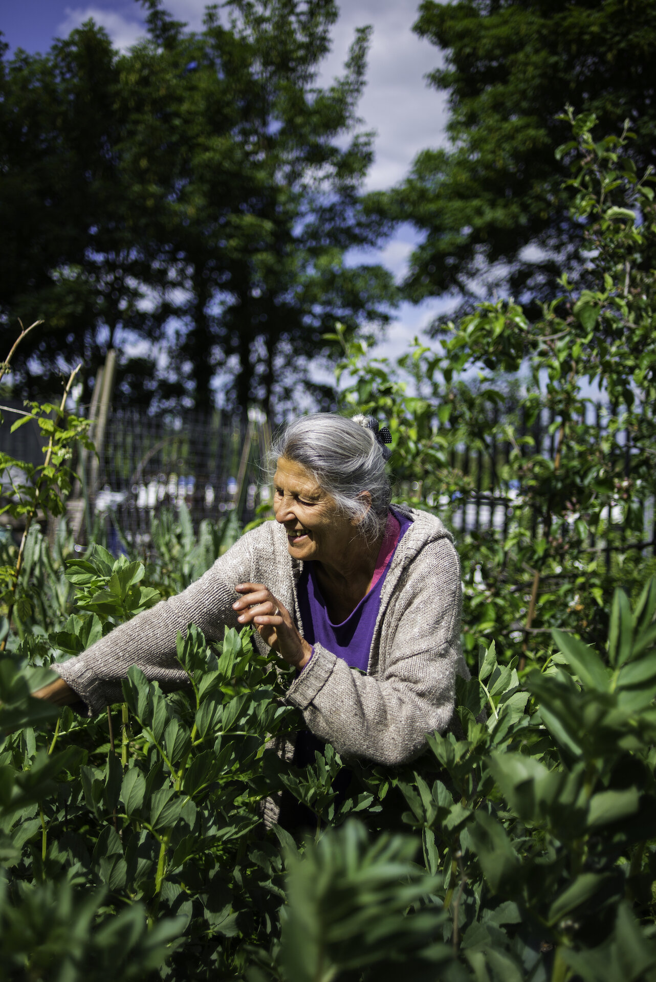 Lady at her allotment 
