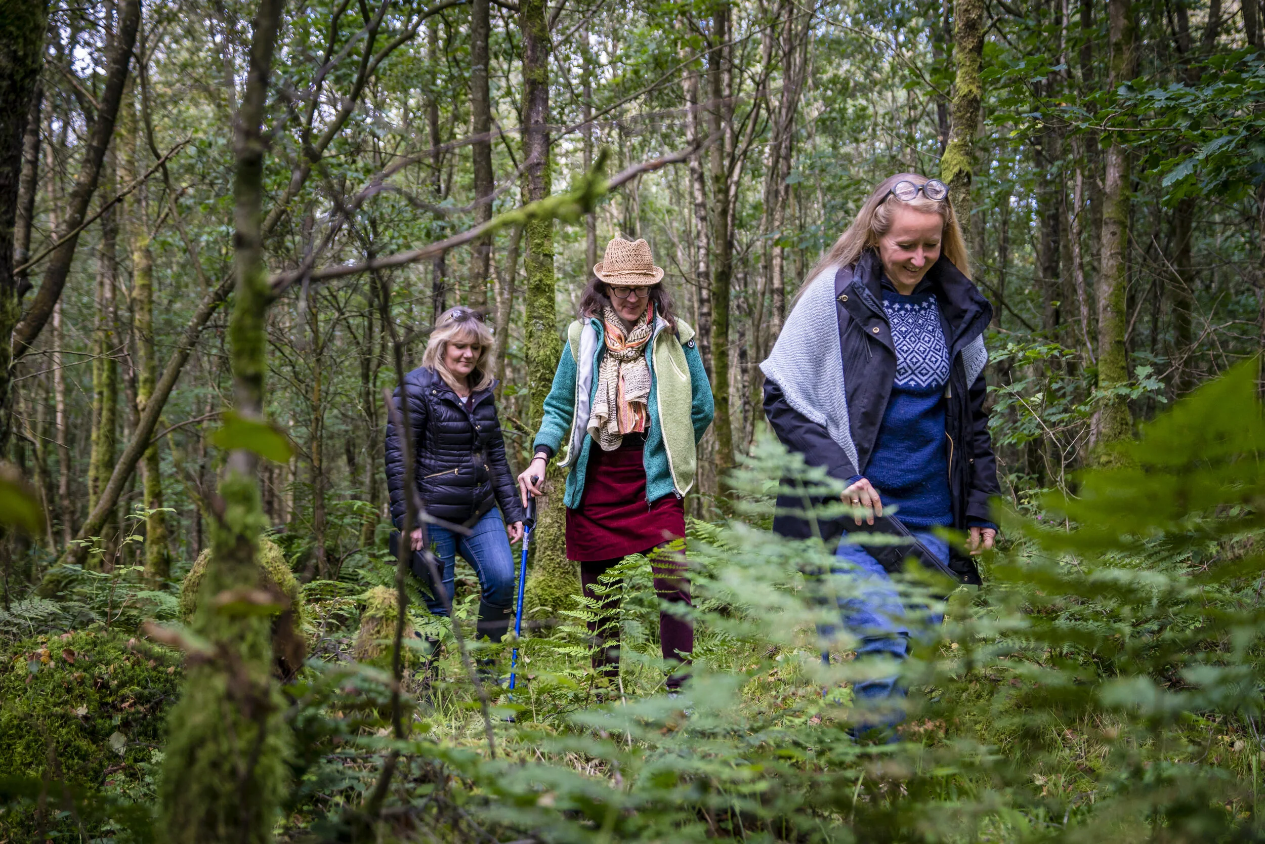 Retreat with Nature Virtual Forest Bathing — Quiet Parks International