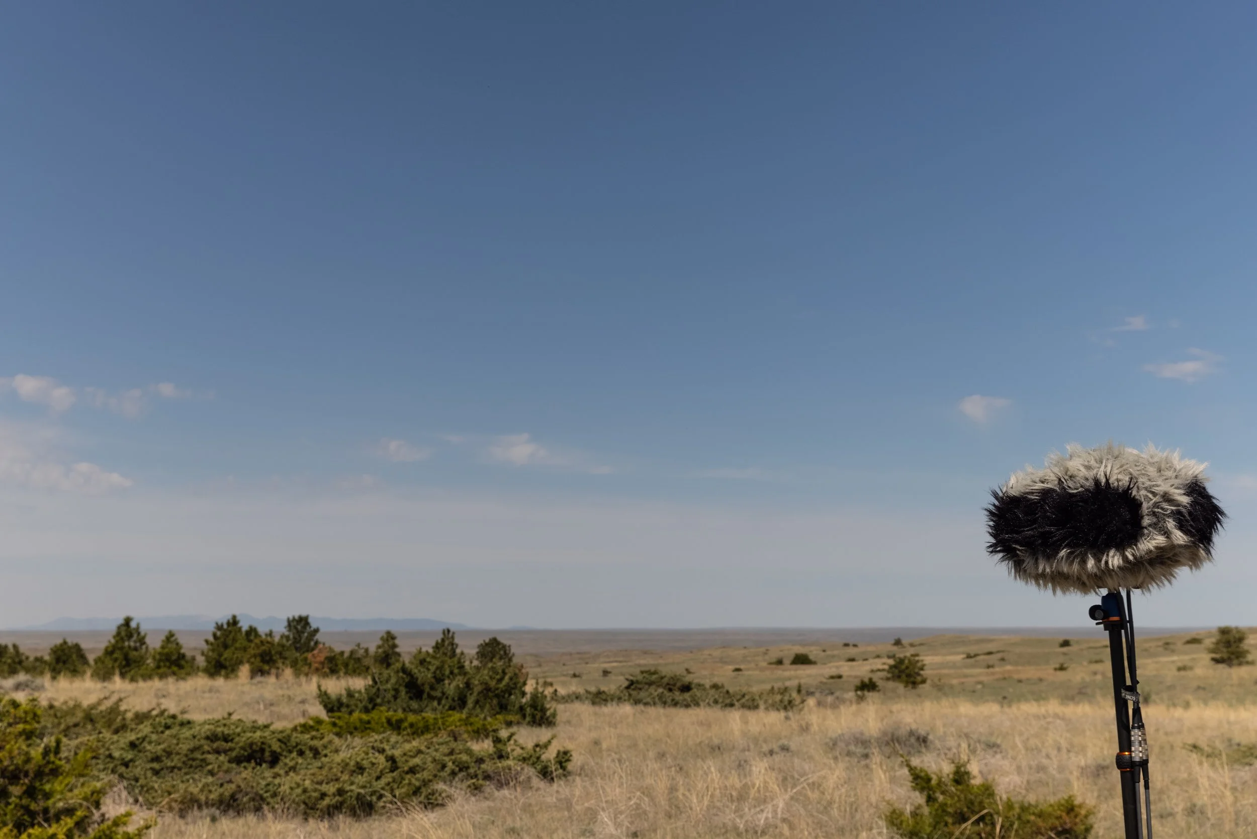 AmericanPrairieReserve_2.jpg