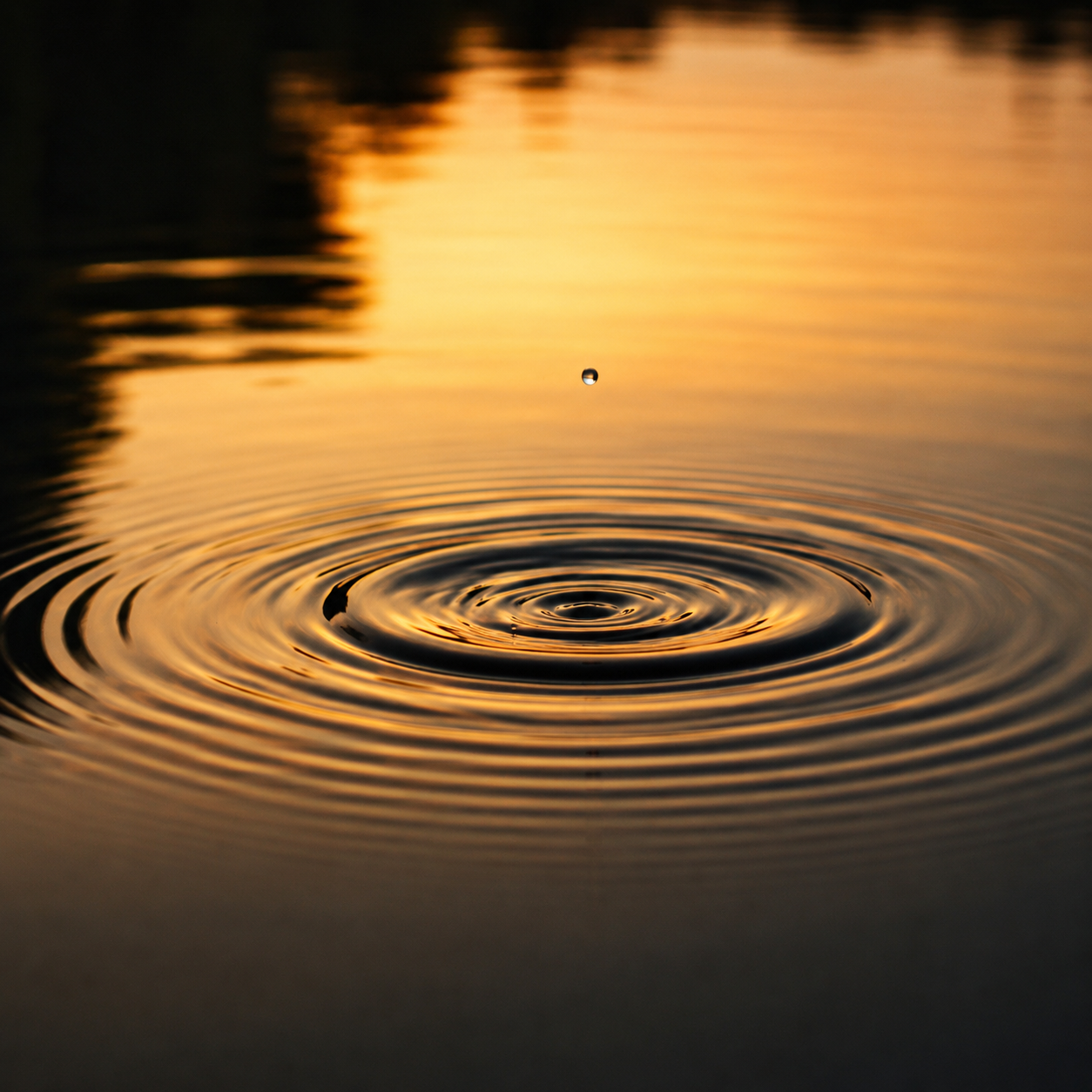 ripple.png