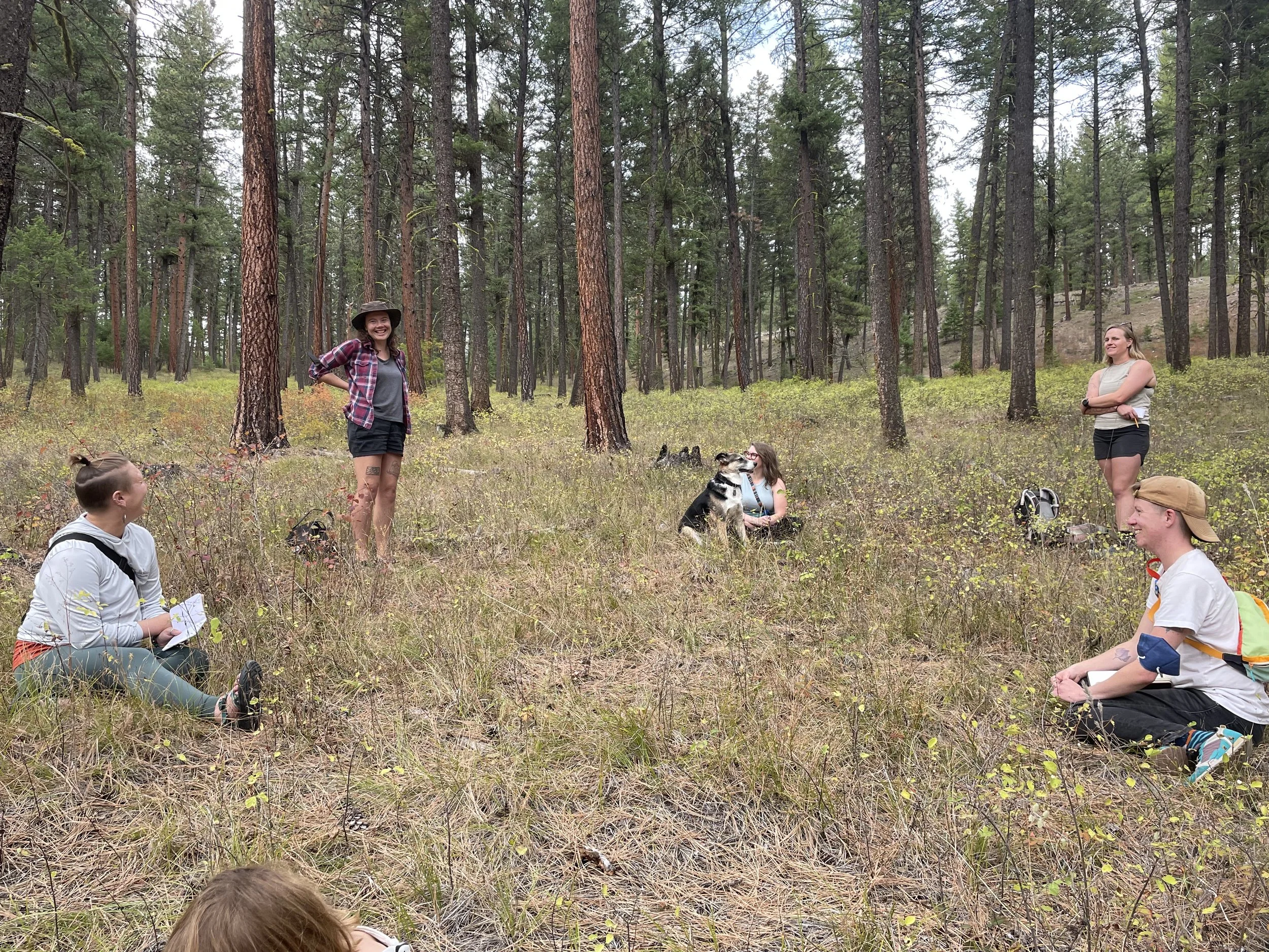 Guided Hike & Write