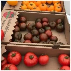 Livable Success Story: Making Healthy Local Foods Accessible for All