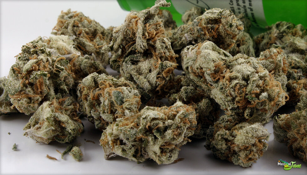 Factors to Consider When Choosing a Weed Delivery Service - GHouse DC — GHouse DC