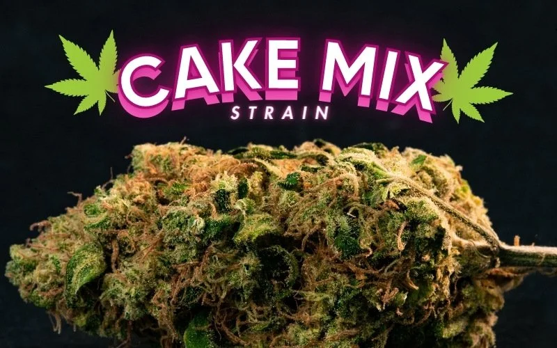 Cake Mix Strain No Baking, Just Baked