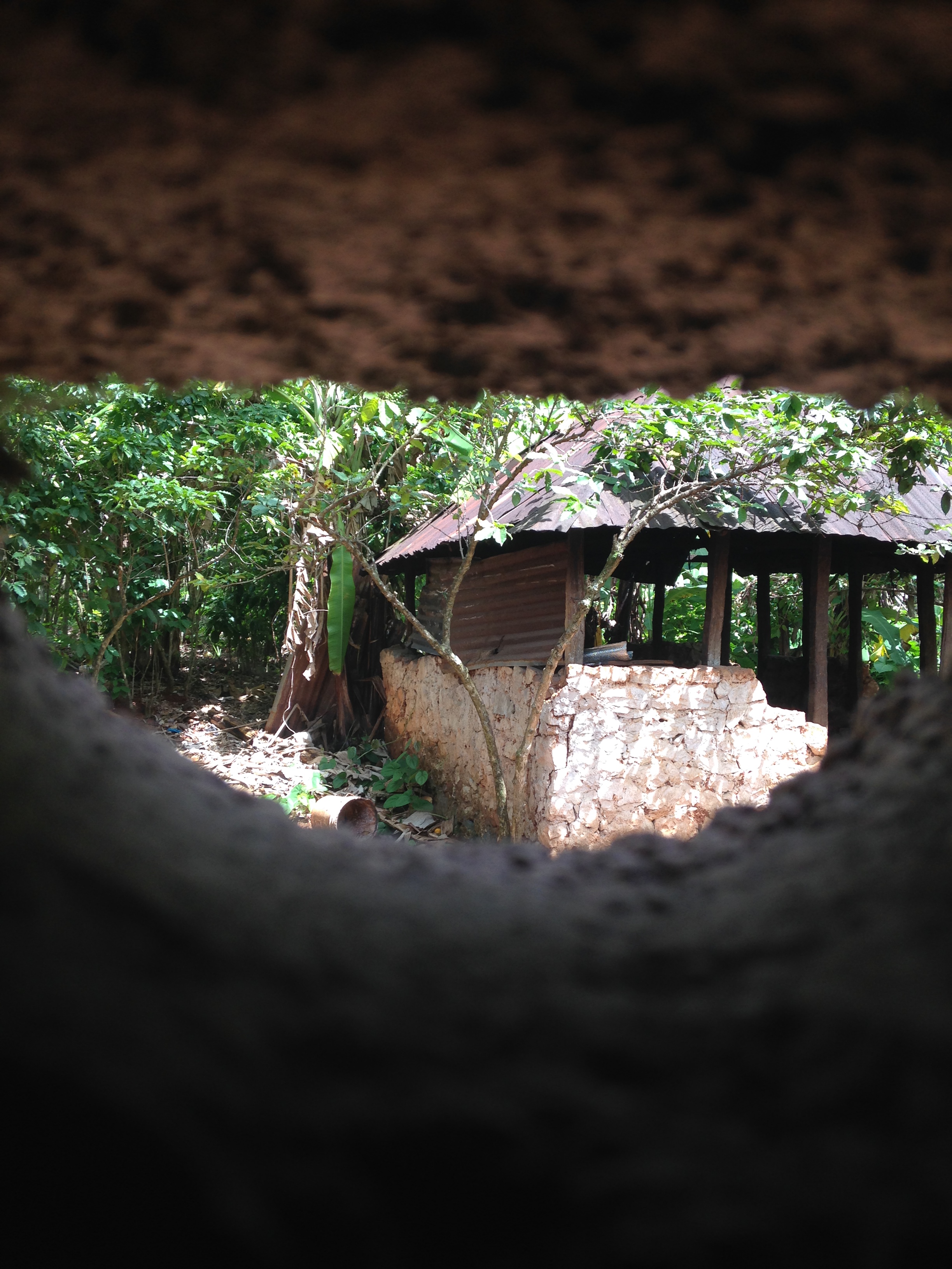Spider Bites and Dirty Water.