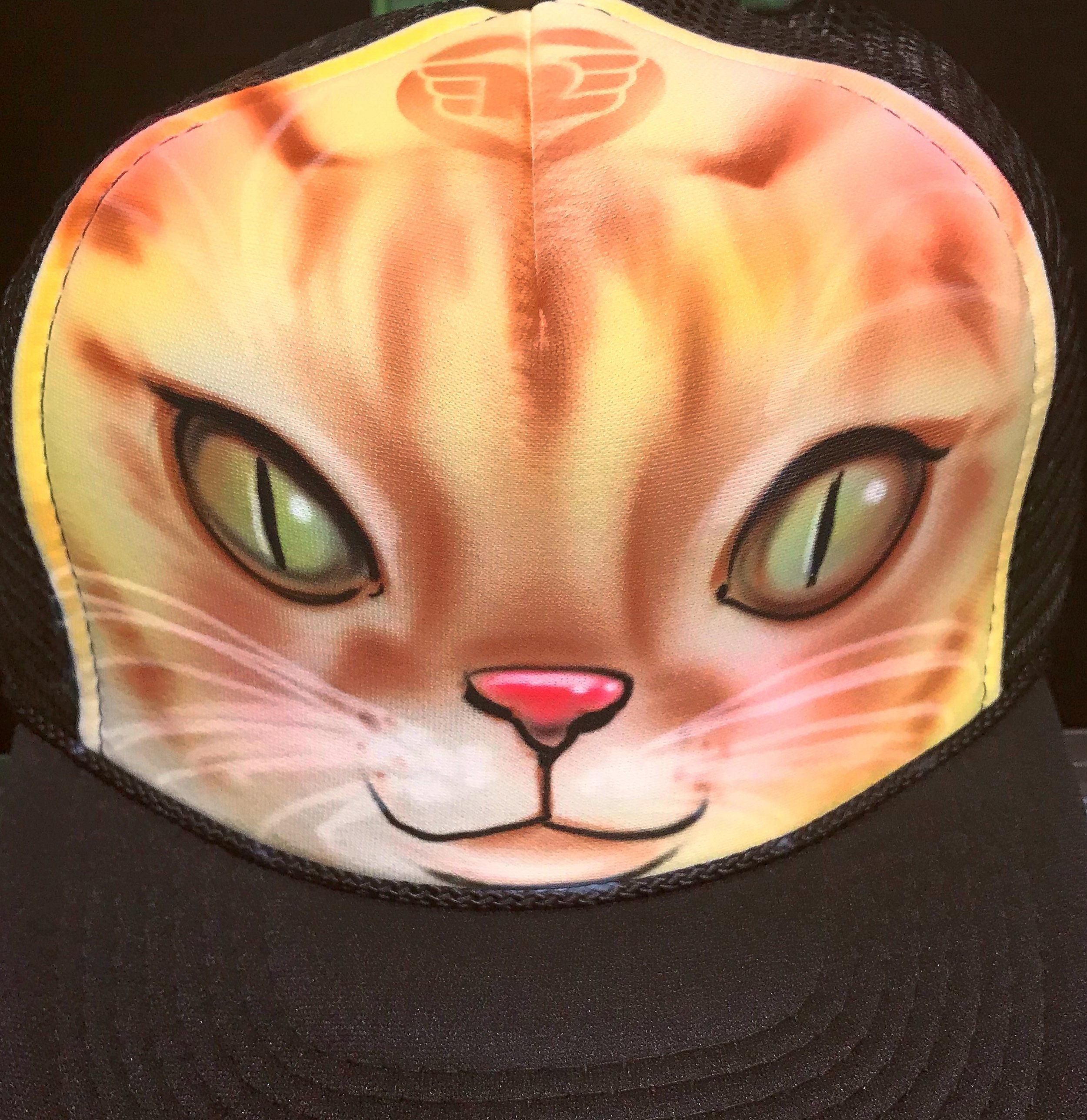 Custom airbrushed trucker hat Cat face