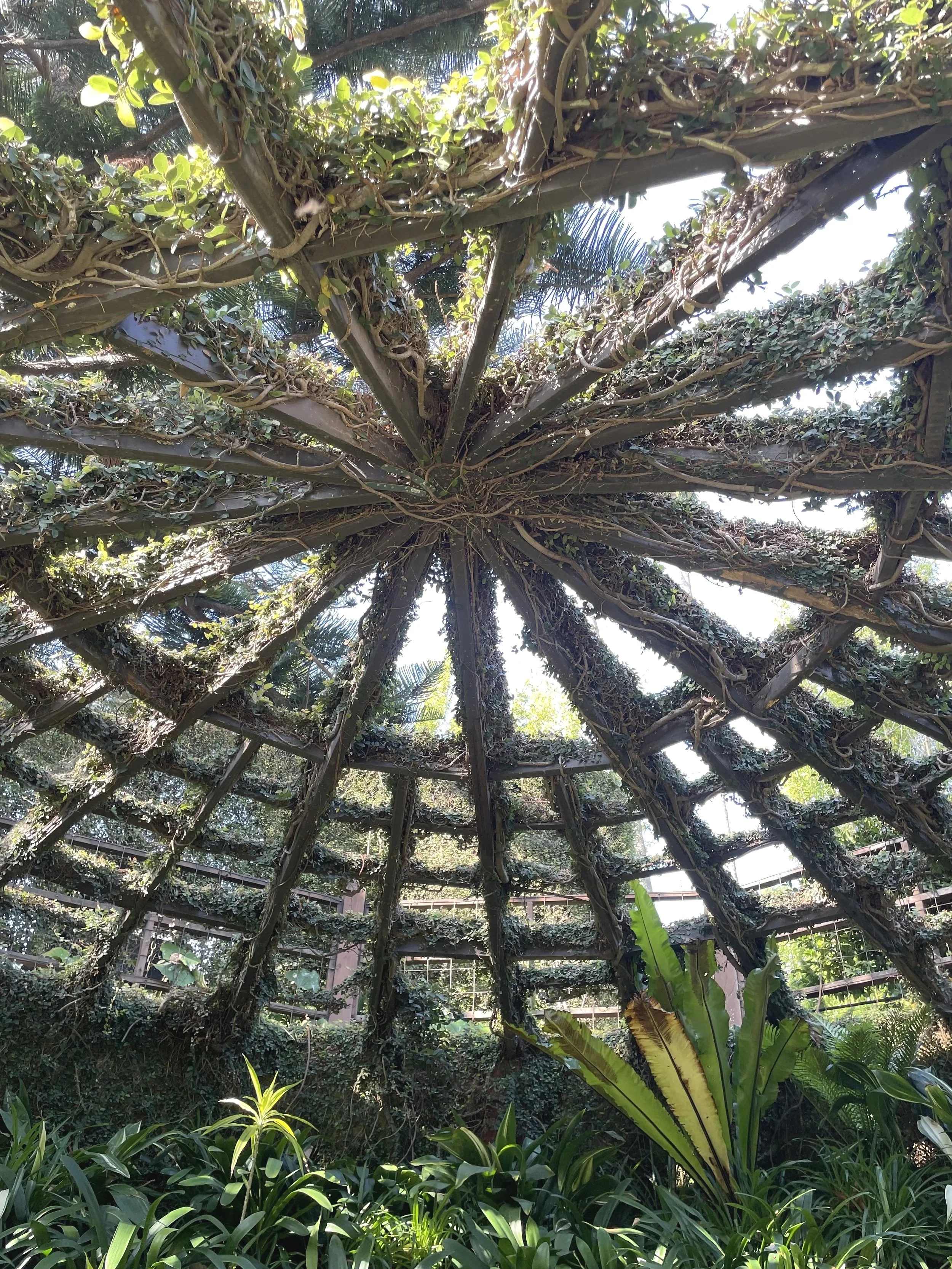 Exploring the Benefits of Somatic Therapy in Psychotherapy