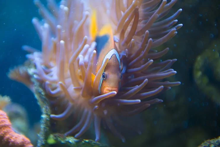 An interview with Lauren Bath about destination marketing