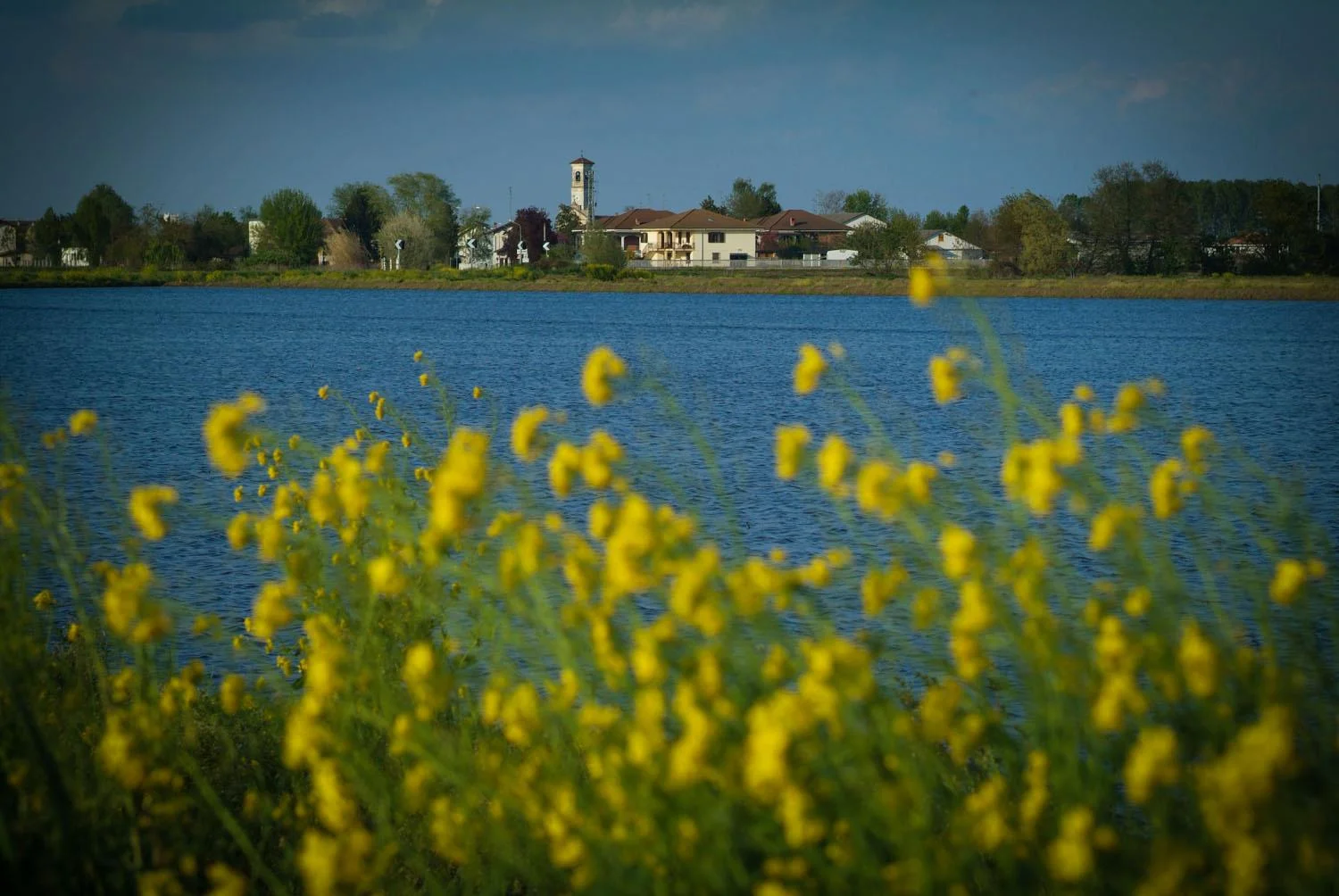 Terreriflesse, ti faccio provare il riso.