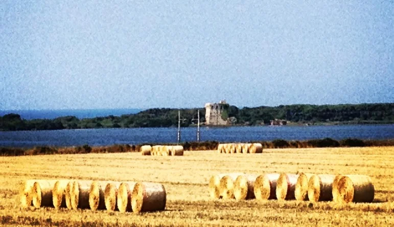 Alla scoperta dei Maremmans.